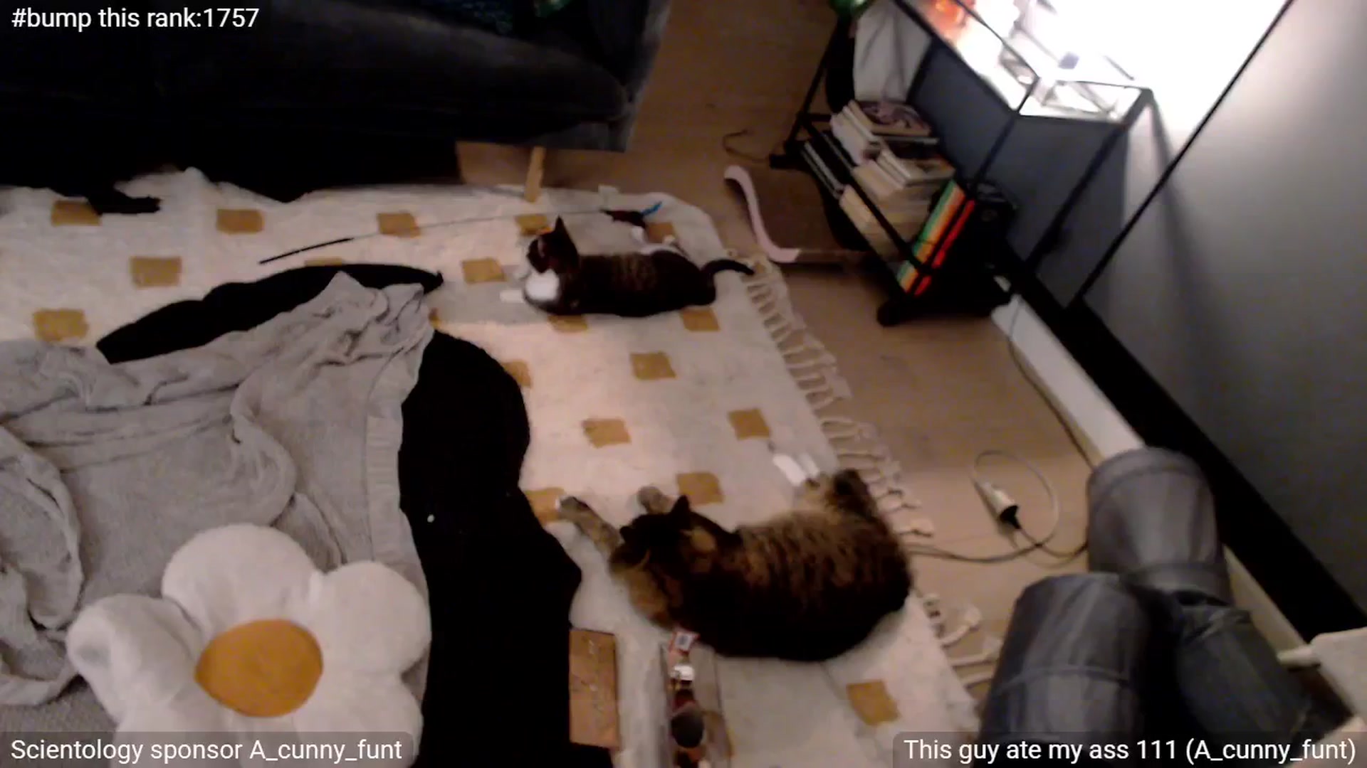 Gallery image thumbnail from StonksRoom's myfreecams stream on, 05/08/2025, 14:30 image 20 of 20