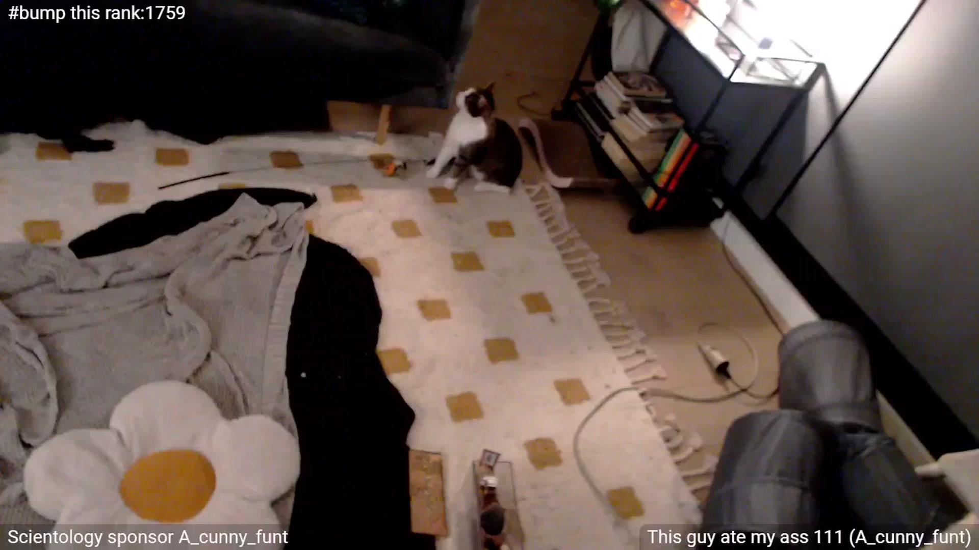 Gallery image thumbnail from StonksRoom's myfreecams stream on, 05/08/2025, 15:21 image 2 of 20