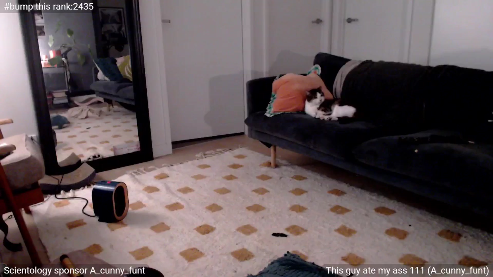 Gallery image thumbnail from StonksRoom's myfreecams stream on, 05/13/2025, 10:01 image 20 of 20