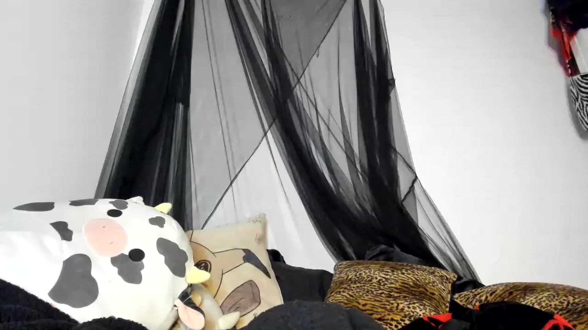 Gallery image thumbnail from StormiBlu's myfreecams stream on, 01/02/2023, 04:51 image 16 of 20