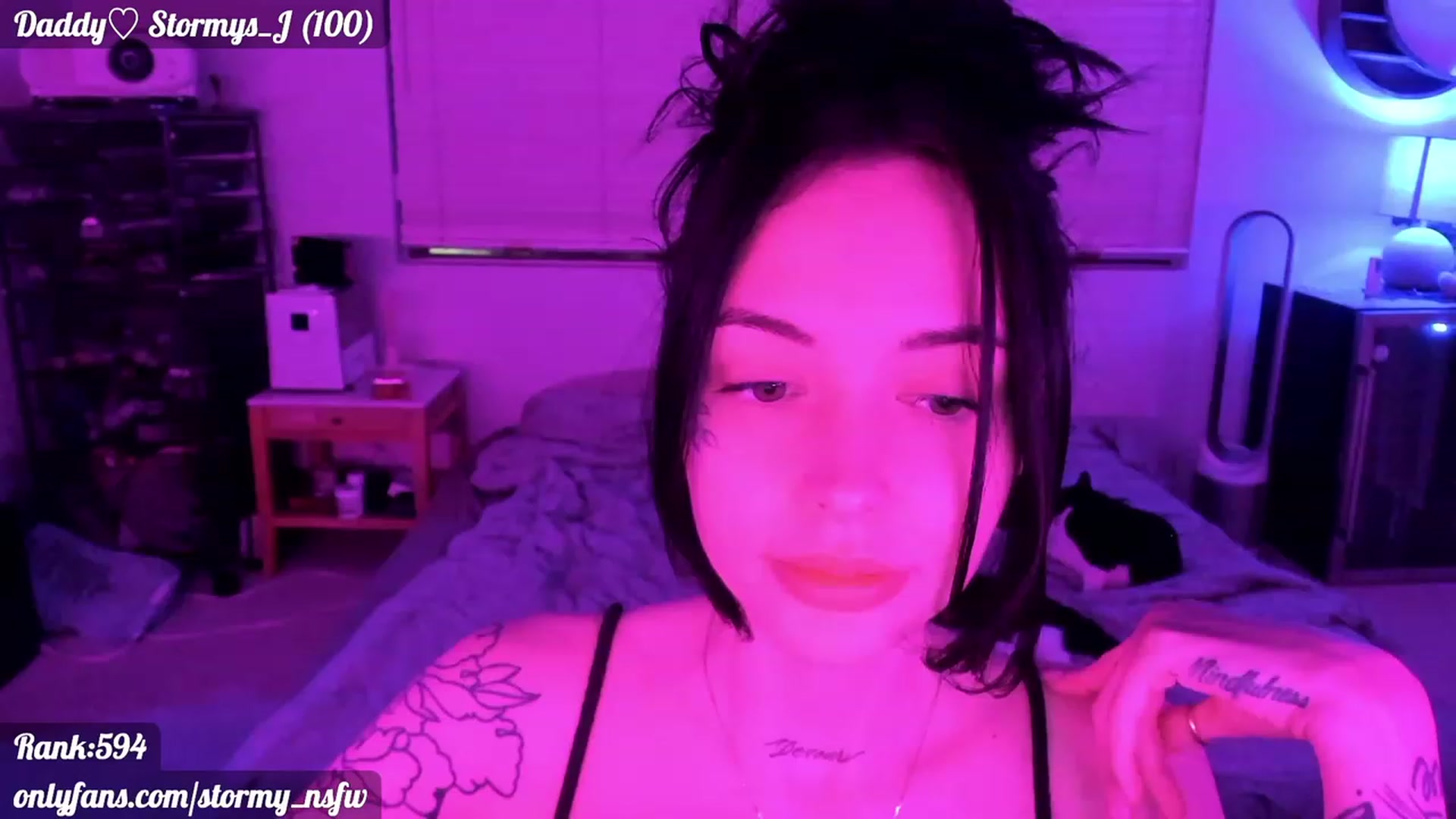Gallery image thumbnail from Stormy's myfreecams stream on, 02/19/2023, 04:22 image 18 of 20