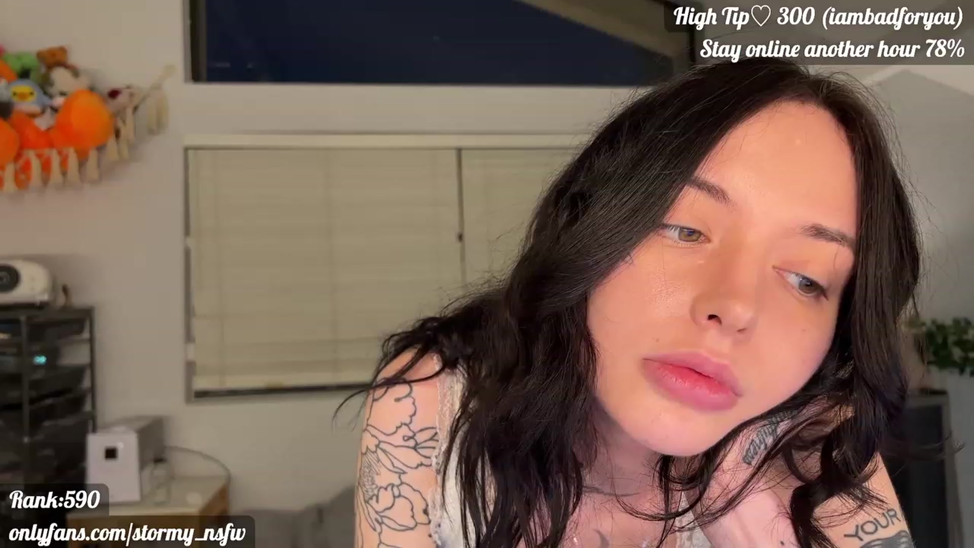 Gallery image thumbnail from Stormy's myfreecams stream on, 02/27/2023, 02:19 image 20 of 20