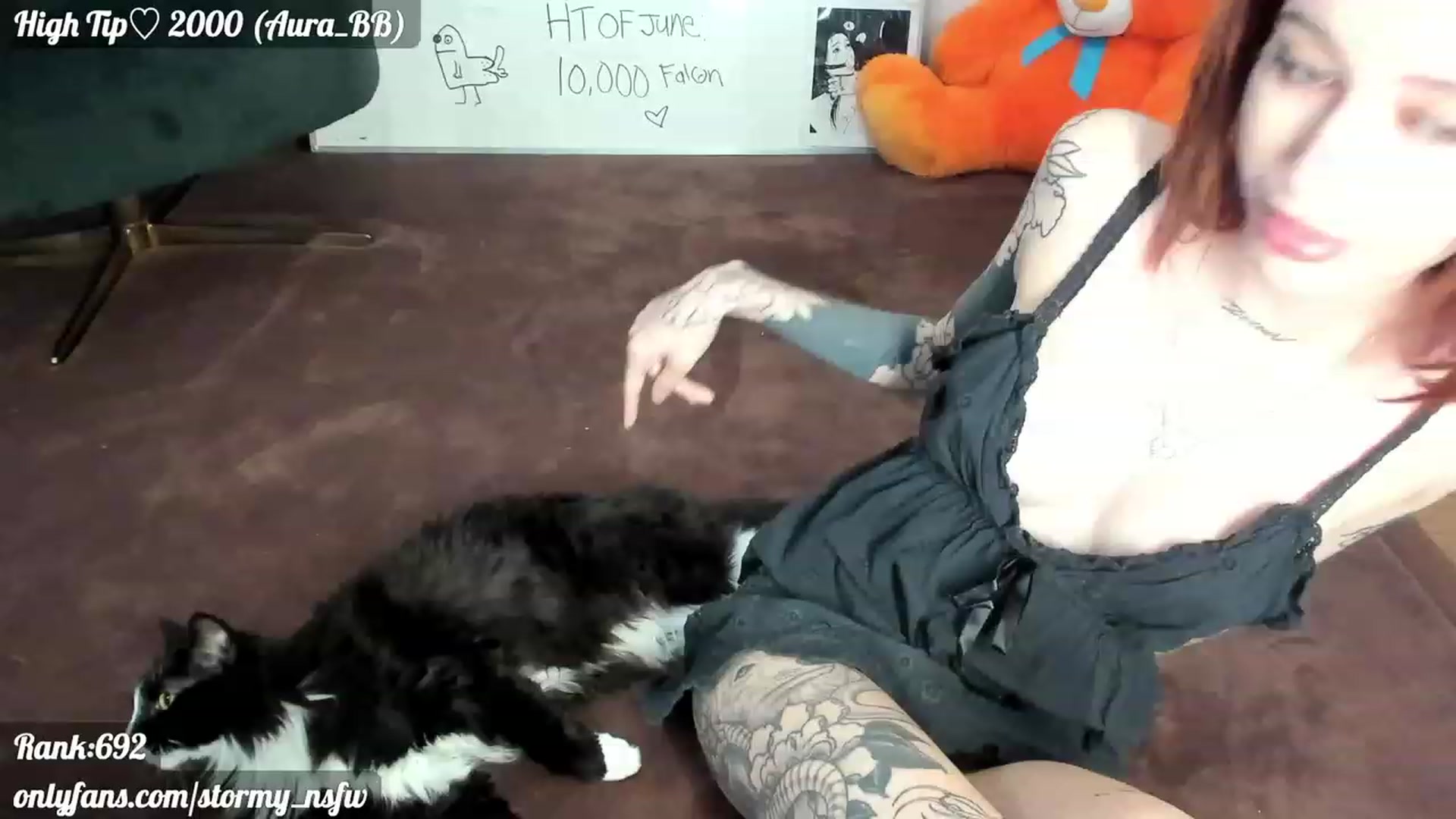 Gallery image thumbnail from Stormy's myfreecams stream on, 06/23/2023, 03:06 image 18 of 20