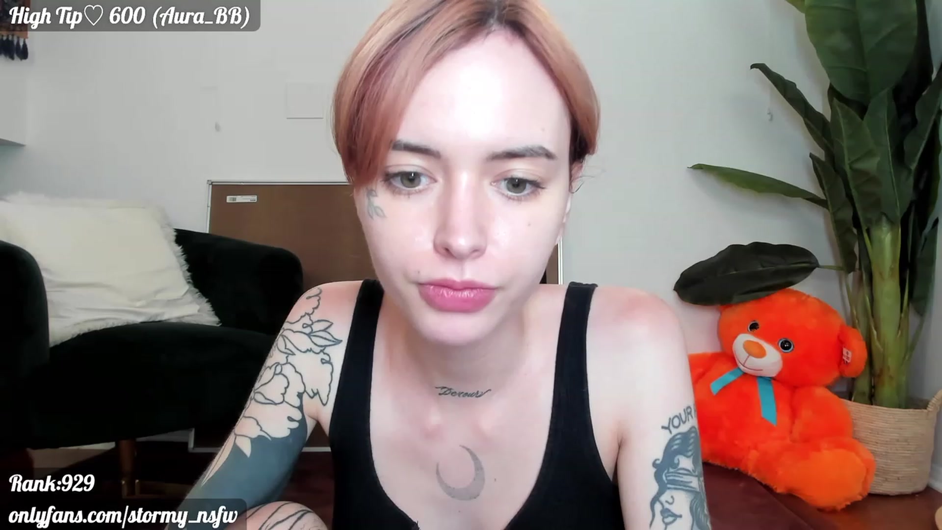 Gallery image thumbnail from Stormy's myfreecams stream on, 06/30/2023, 01:51 image 14 of 20