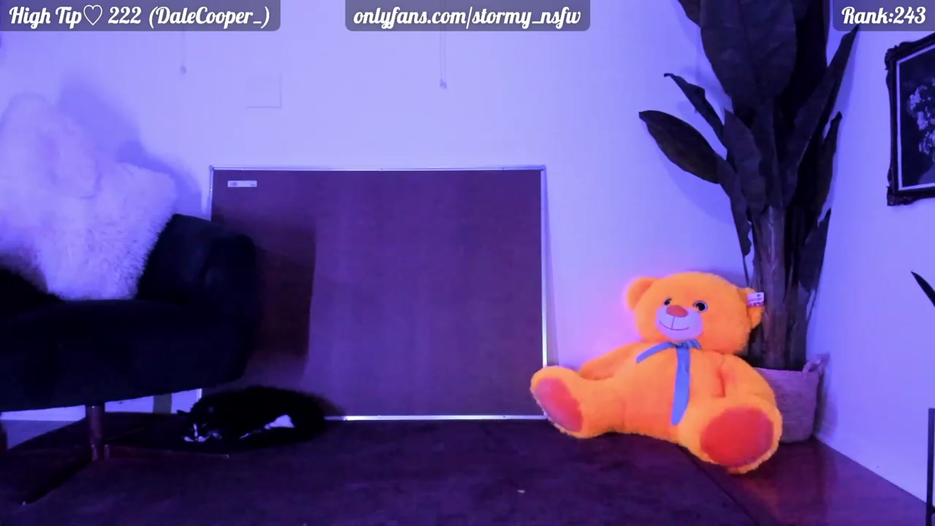 Gallery image thumbnail from Stormy's myfreecams stream on, 07/08/2023, 07:13 image 7 of 20