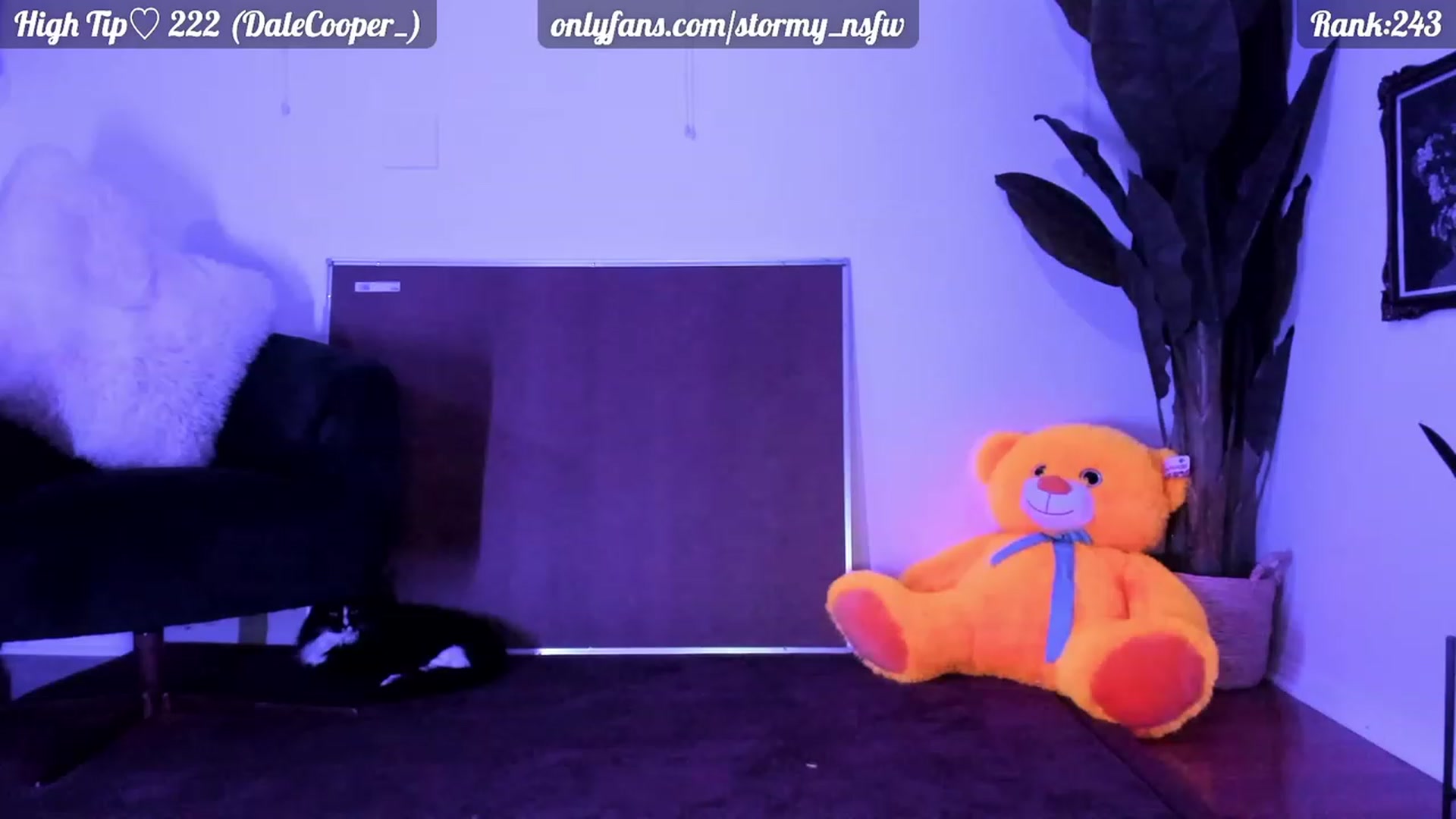 Gallery image thumbnail from Stormy's myfreecams stream on, 07/08/2023, 07:13 image 8 of 20