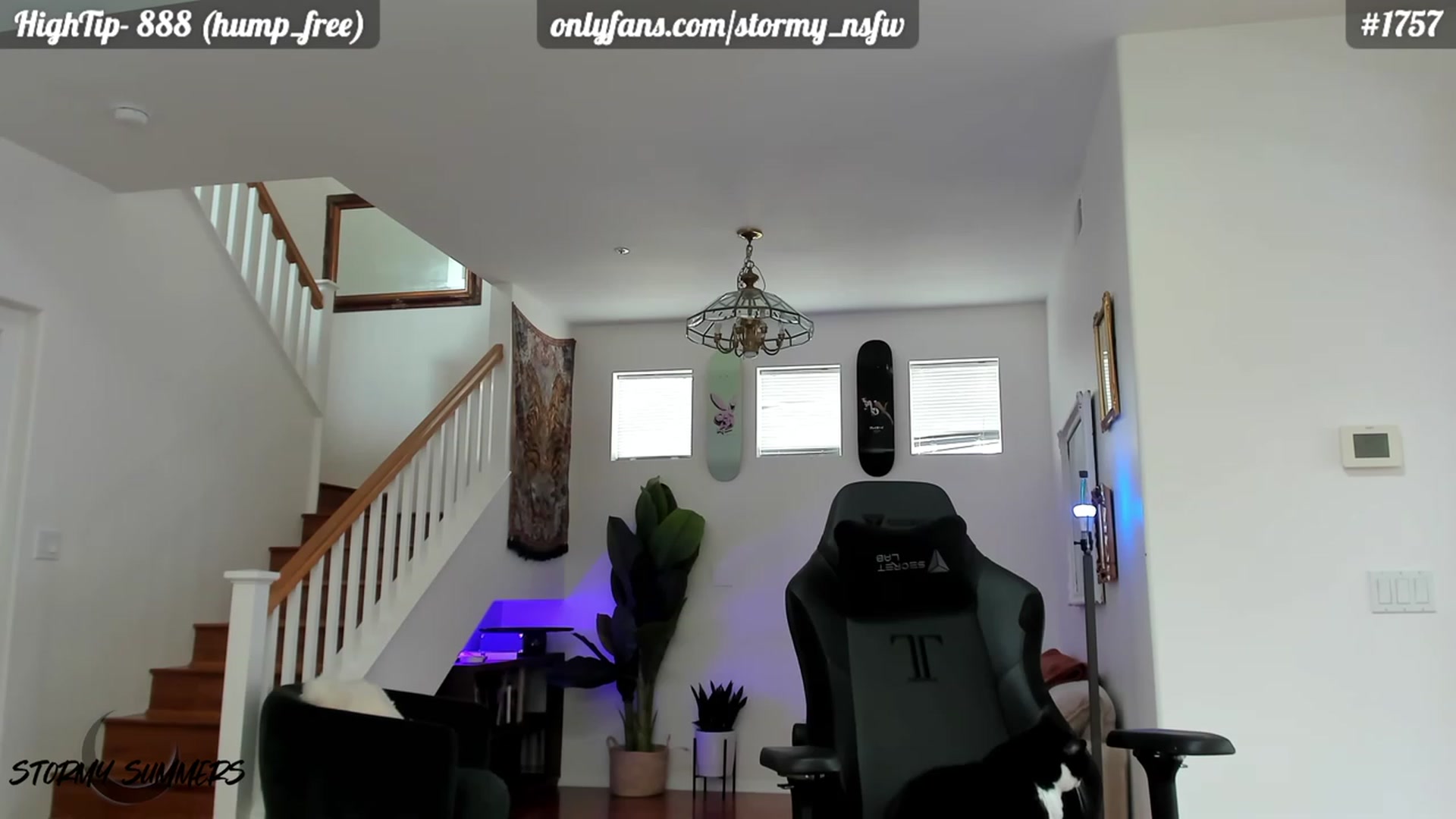 Gallery image thumbnail from Stormy's myfreecams stream on, 08/11/2023, 24:54 image 5 of 20