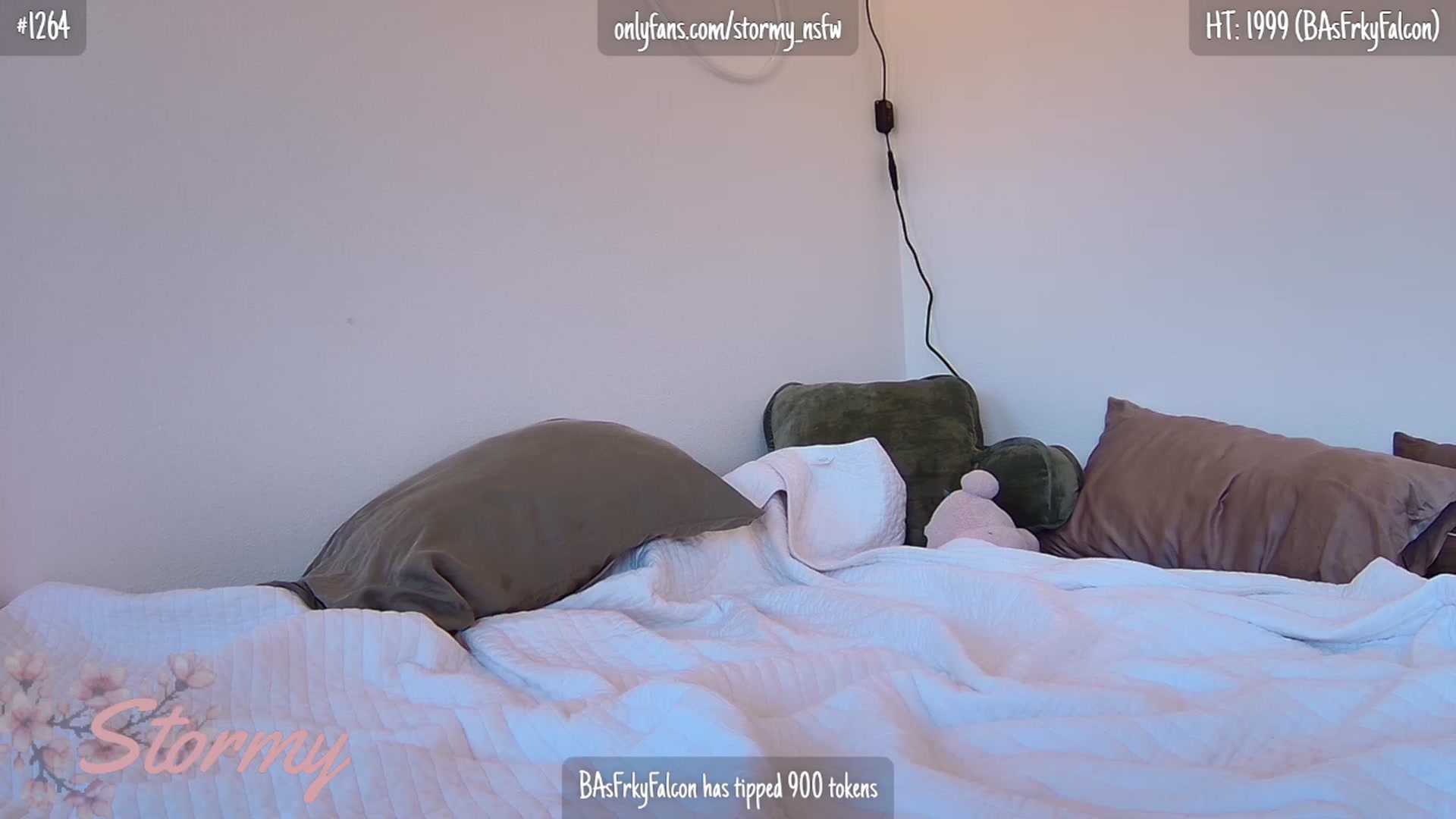 Gallery image thumbnail from Stormy's myfreecams stream on, 08/25/2023, 24:09 image 16 of 20