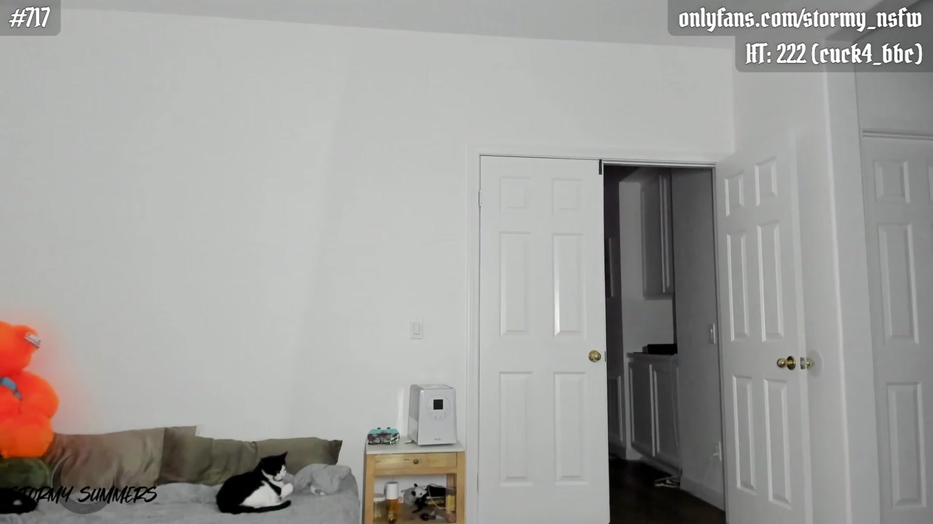 Gallery image thumbnail from Stormy's myfreecams stream on, 10/02/2023, 02:38 image 15 of 20