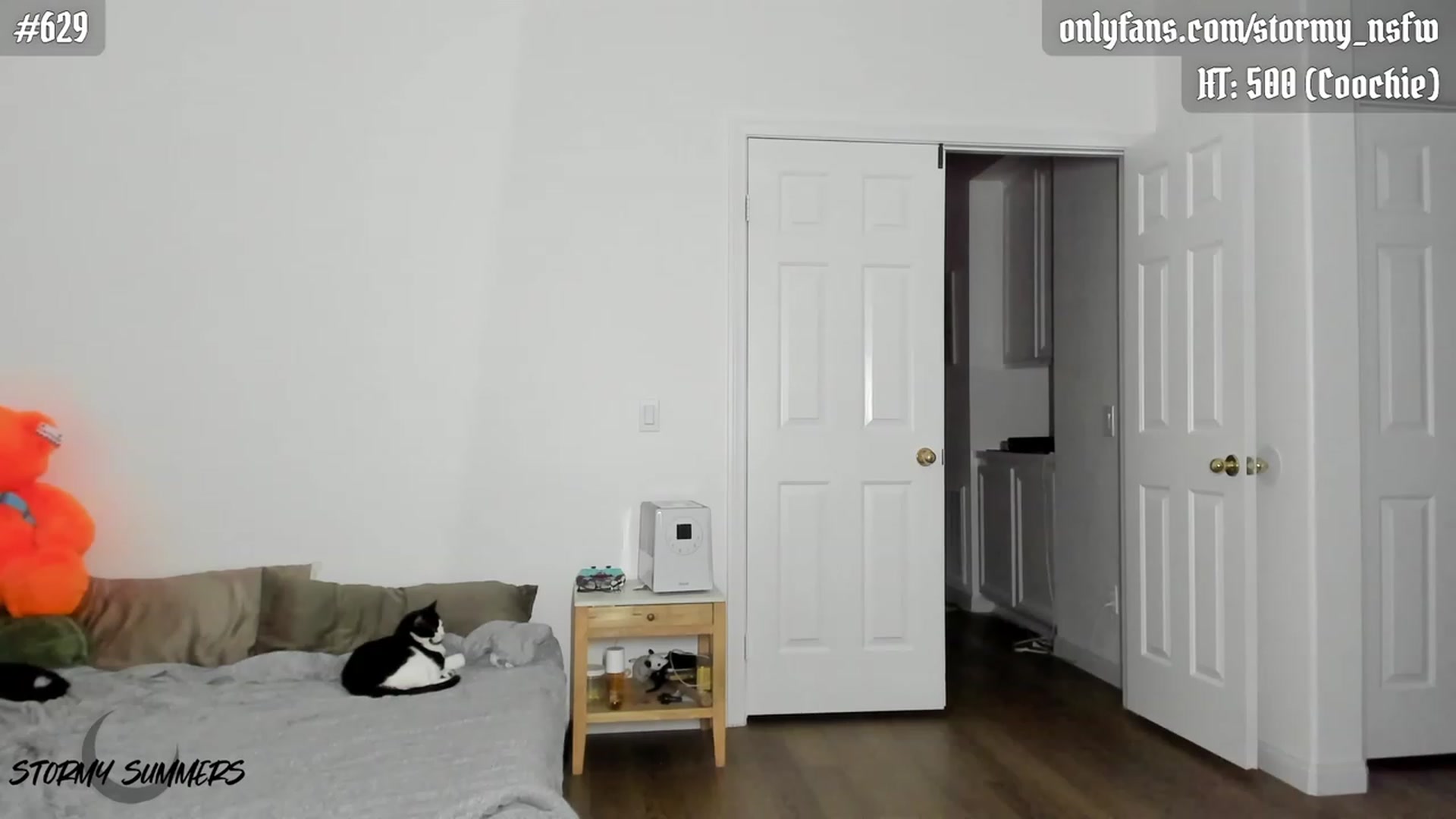 Gallery image thumbnail from Stormy's myfreecams stream on, 10/02/2023, 02:38 image 16 of 20