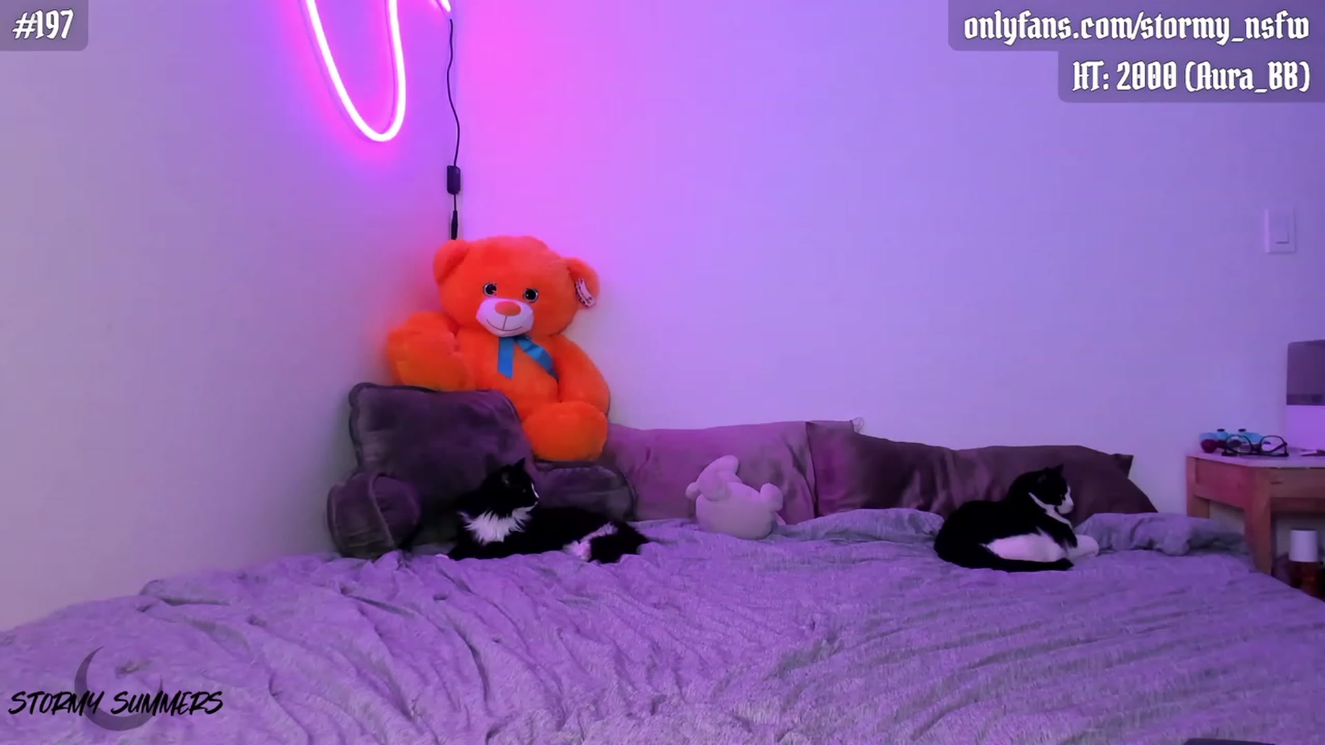 Gallery image thumbnail from Stormy's myfreecams stream on, 10/02/2023, 05:15 image 16 of 20
