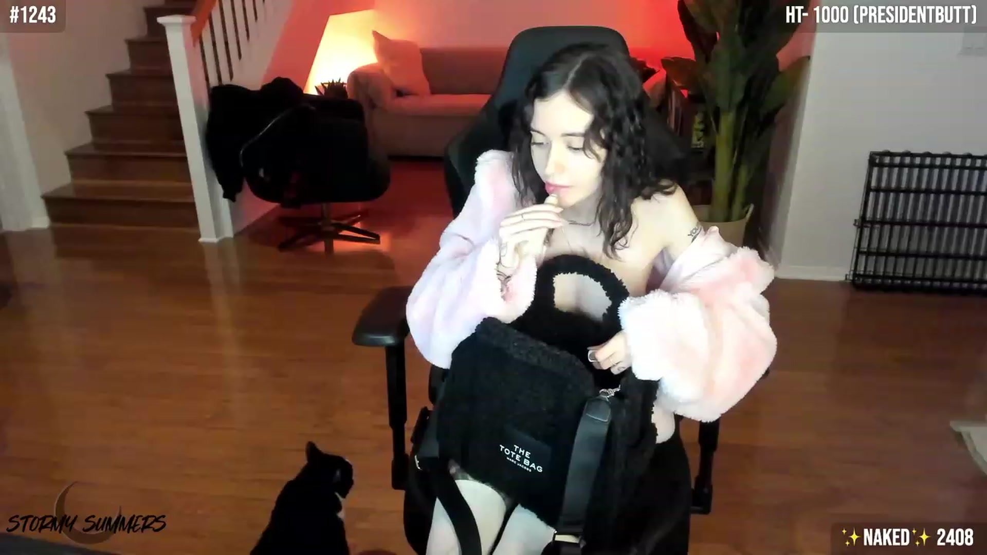 Gallery image thumbnail from Stormy's myfreecams stream on, 01/15/2024, 07:09 image 13 of 20