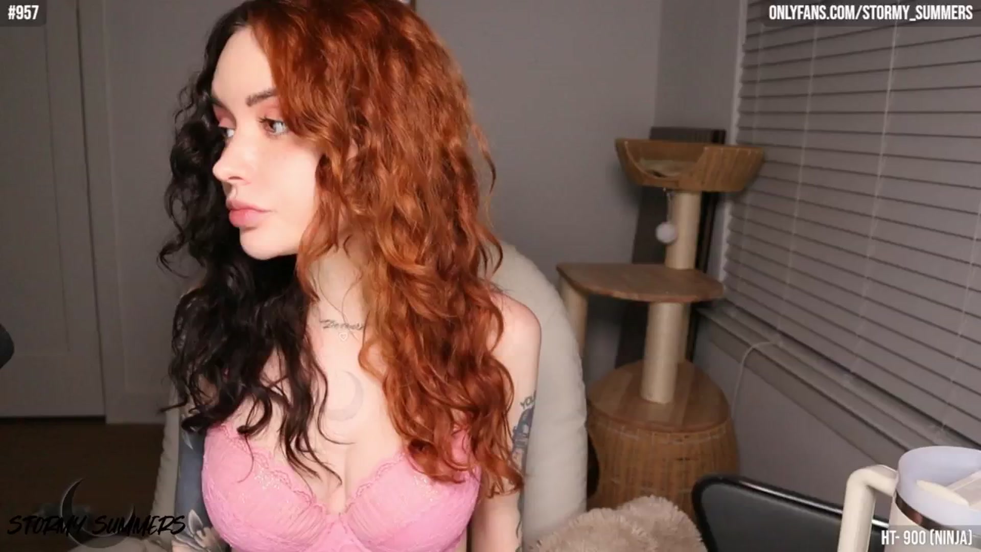 Gallery image thumbnail from Stormy's myfreecams stream on, 04/03/2026, 02:47 image 14 of 20