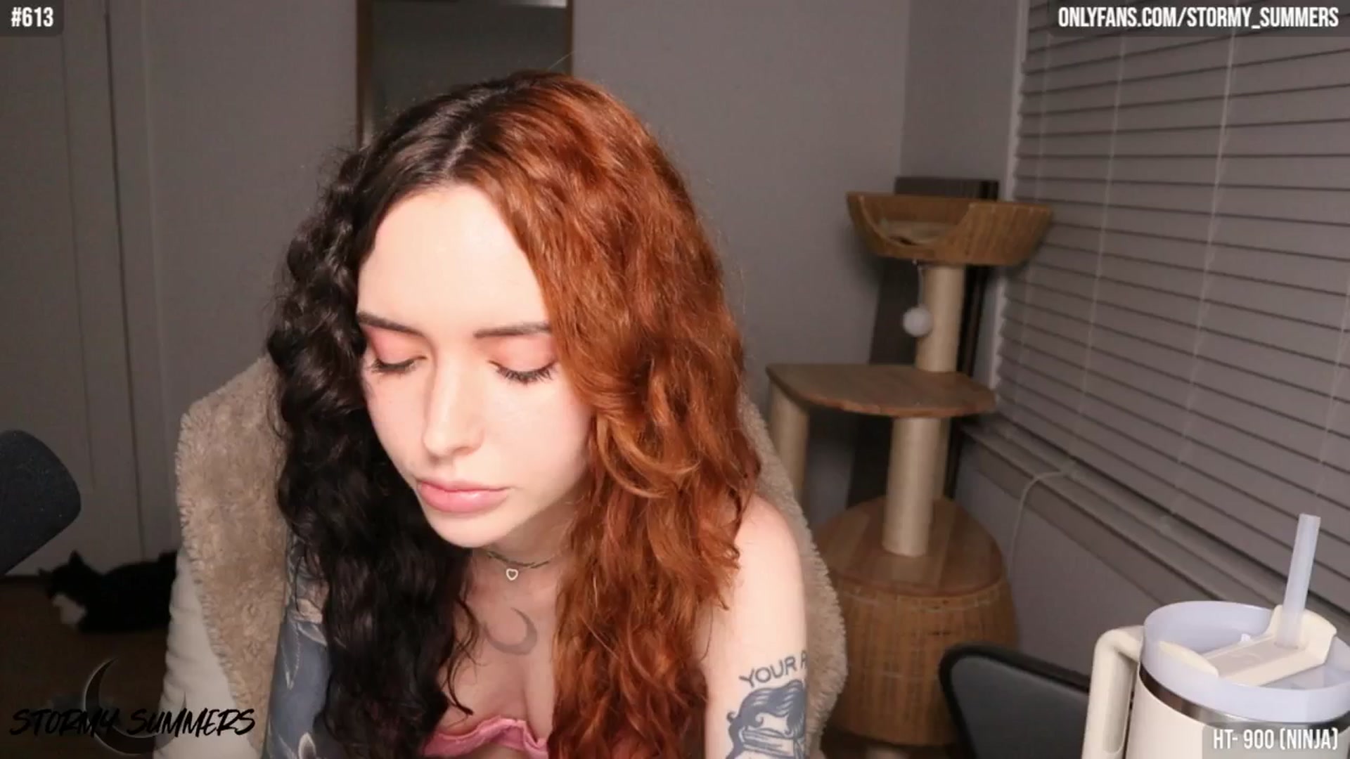 Gallery image thumbnail from Stormy's myfreecams stream on, 04/03/2026, 02:47 image 20 of 20