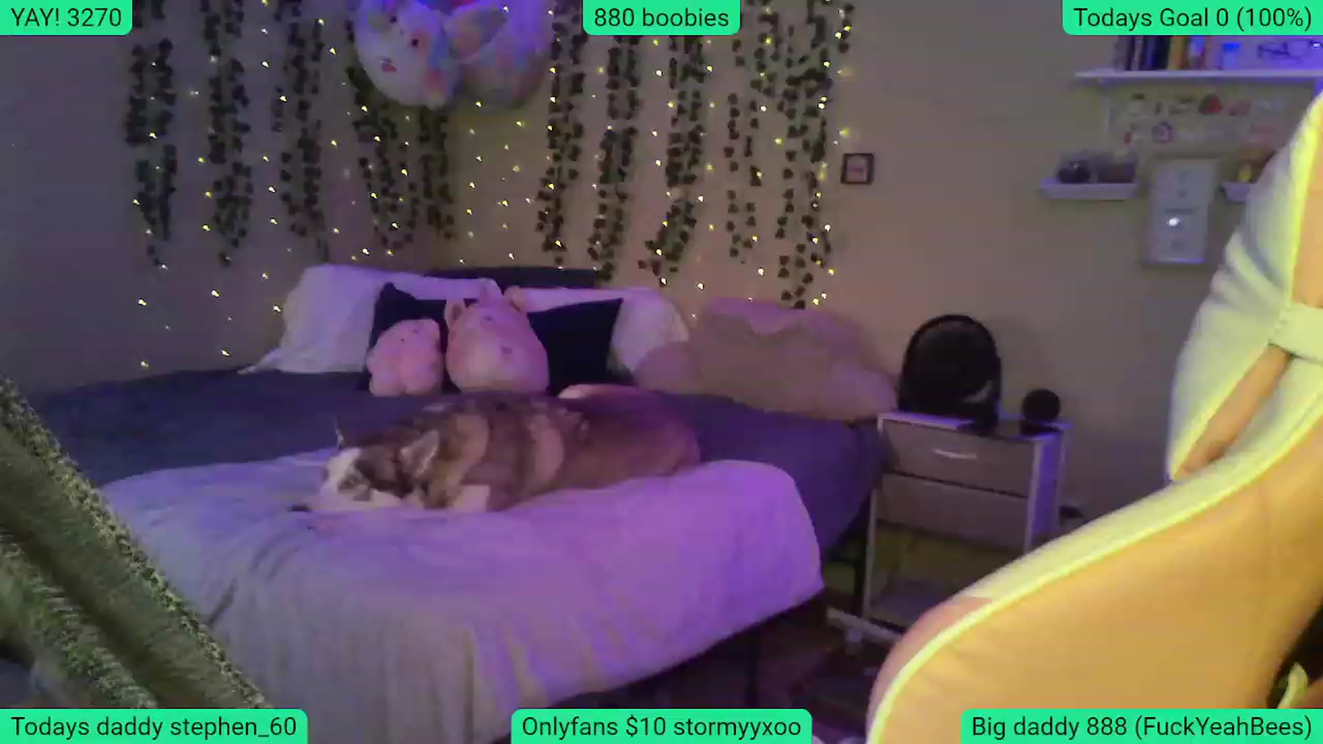 Gallery image thumbnail from Stormyxoo's myfreecams stream on, 01/14/2024, 02:58 image 3 of 20