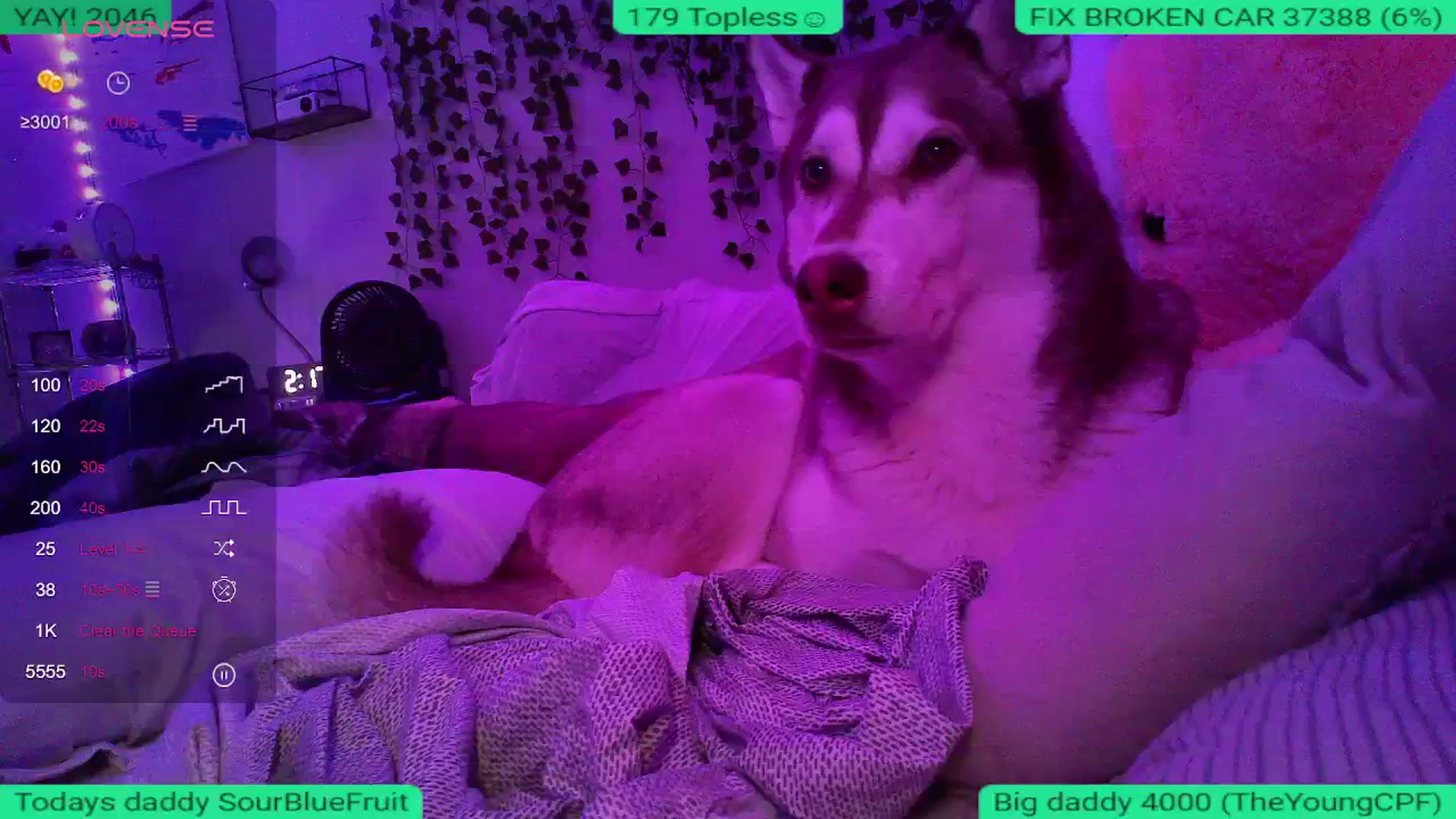 Gallery image thumbnail from Stormyxoo's myfreecams stream on, 05/11/2024, 24:46 image 9 of 20