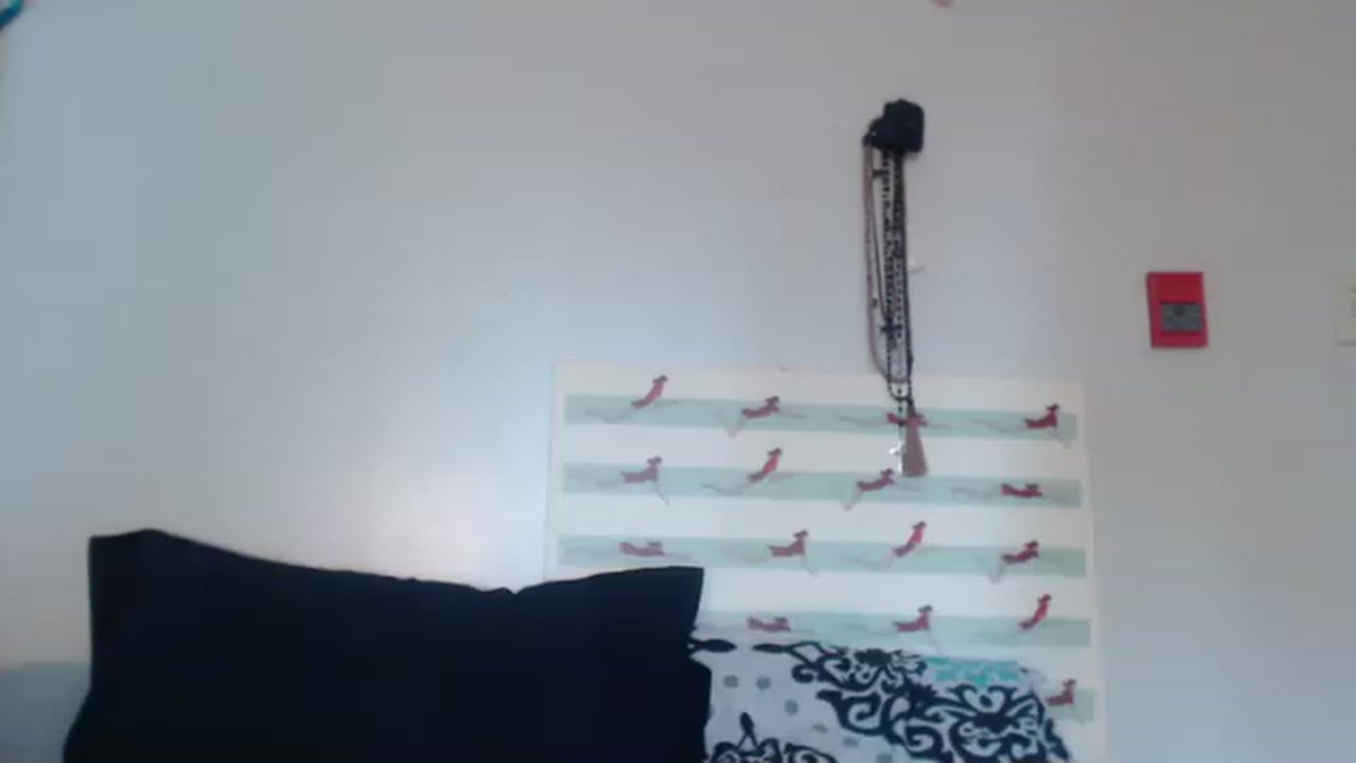 Gallery image thumbnail from Stuff_itinme's myfreecams stream on, 08/25/2023, 14:32 image 13 of 20