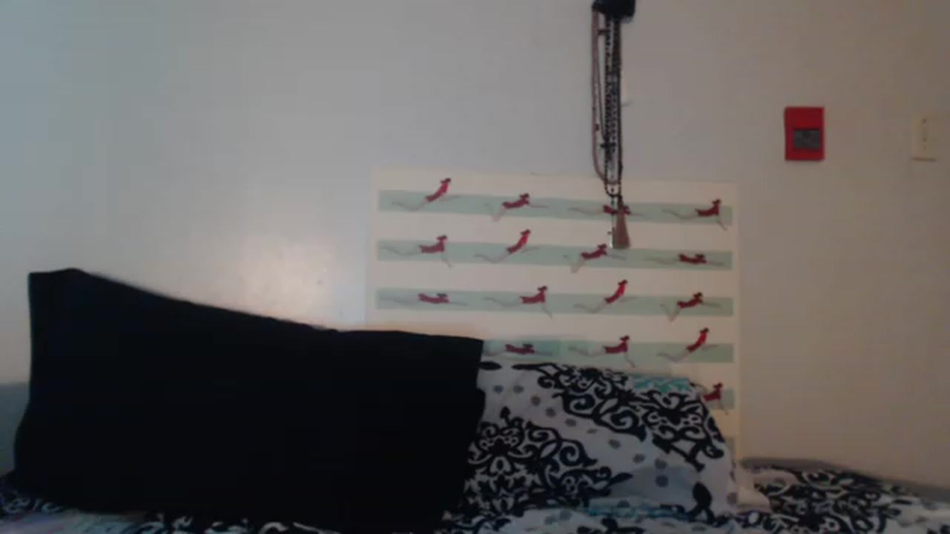 Gallery image thumbnail from Stuff_itinme's myfreecams stream on, 08/25/2023, 14:59 image 1 of 20