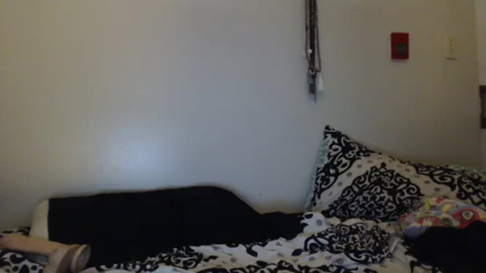 Gallery image thumbnail from Stuff_itinme's myfreecams stream on, 10/16/2023, 09:17 image 12 of 20