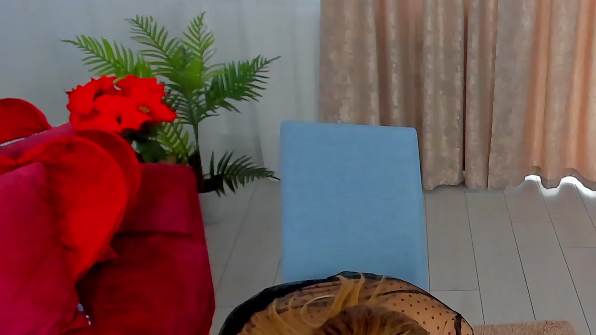 Gallery image thumbnail from SuaveGia's myfreecams stream on, 04/12/2023, 09:47 image 17 of 20