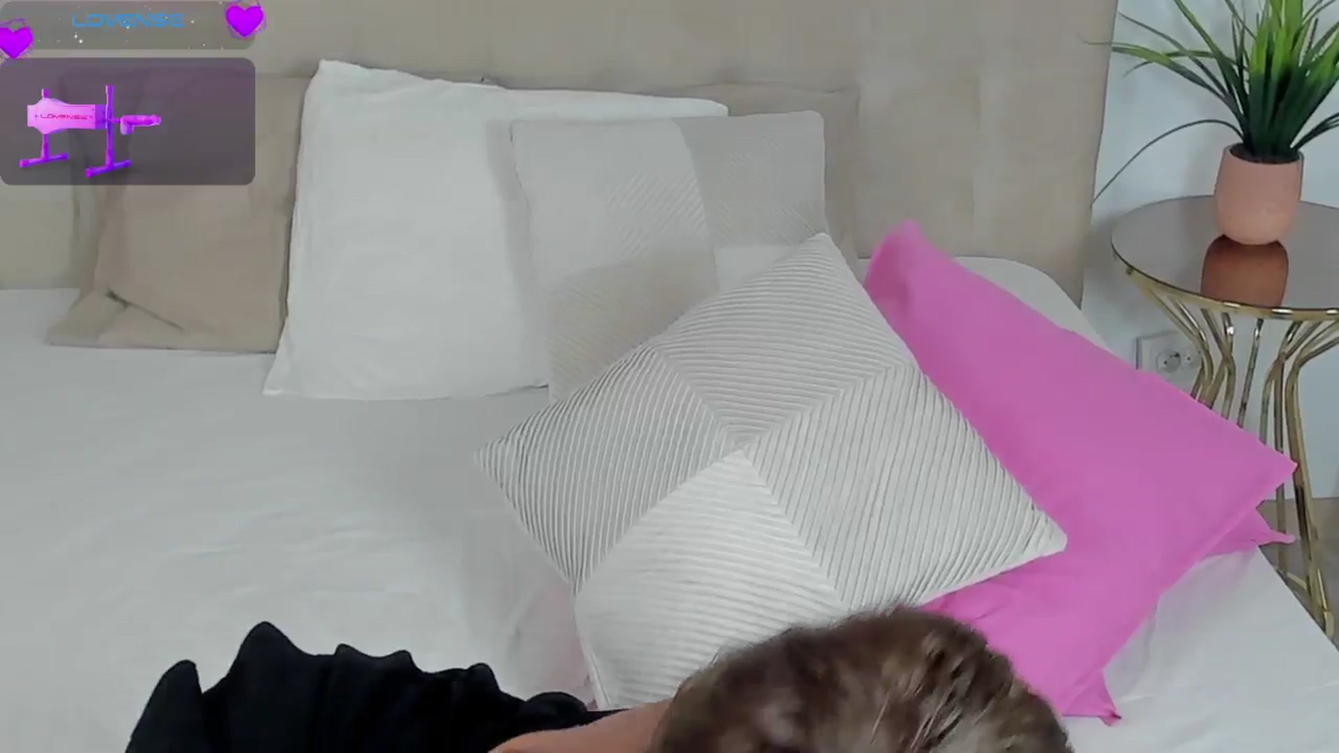 Gallery image thumbnail from SuaveGia's myfreecams stream on, 09/18/2024, 12:50 image 17 of 20