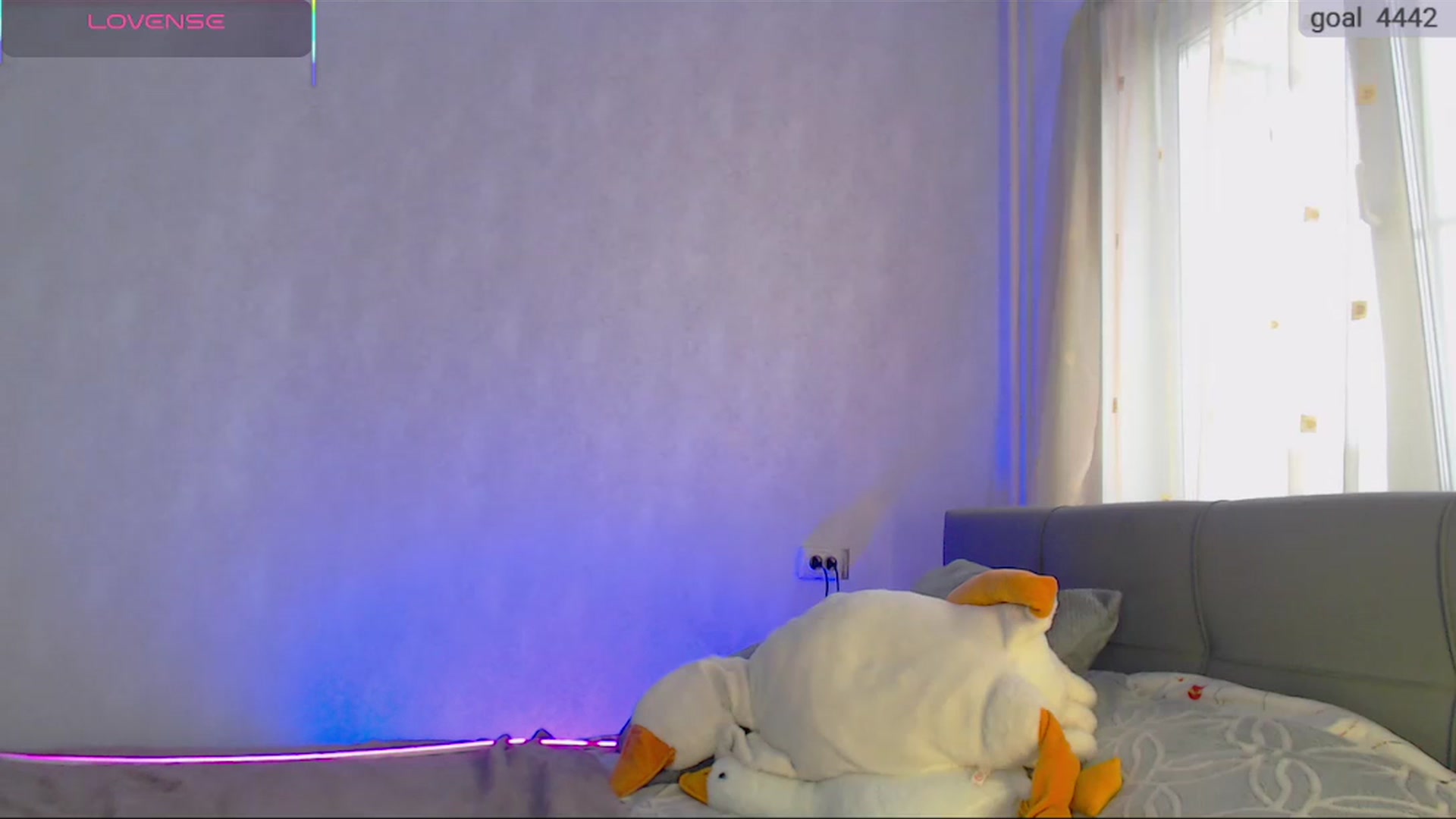 Gallery image thumbnail from SuchCute_'s myfreecams stream on, 11/05/2025, 04:10 image 3 of 20