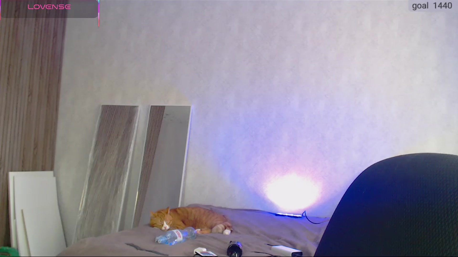 Gallery image thumbnail from SuchCute_'s myfreecams stream on, 11/09/2025, 06:31 image 17 of 20