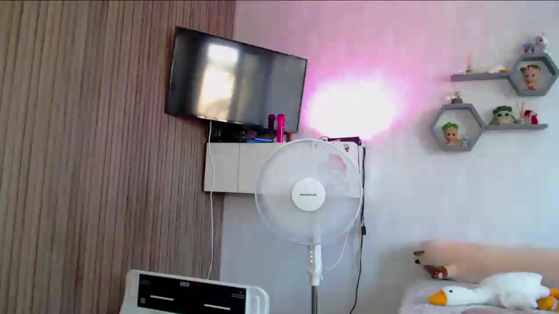 Gallery image thumbnail from SuchCute_'s myfreecams stream on, 06/08/2026, 04:32 image 16 of 20