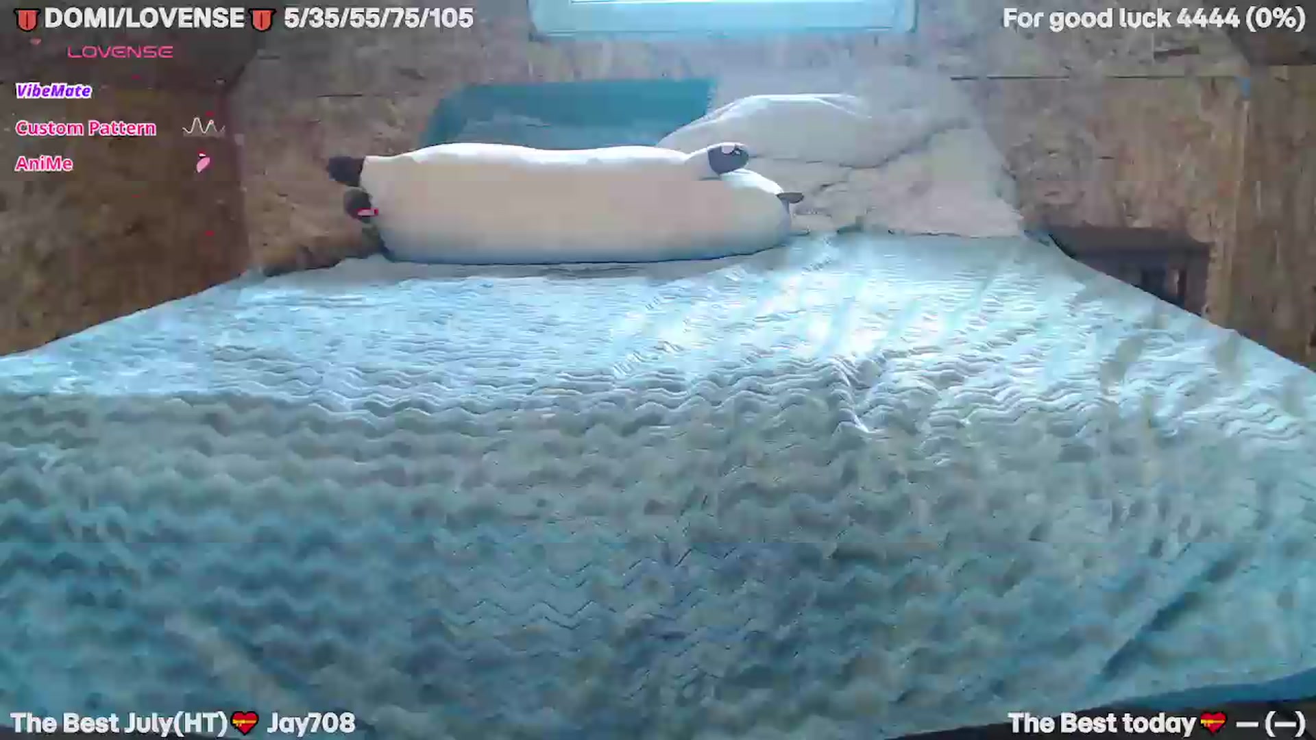 Gallery image thumbnail from SuchCute_'s myfreecams stream on, 07/22/2026, 06:43 image 12 of 20