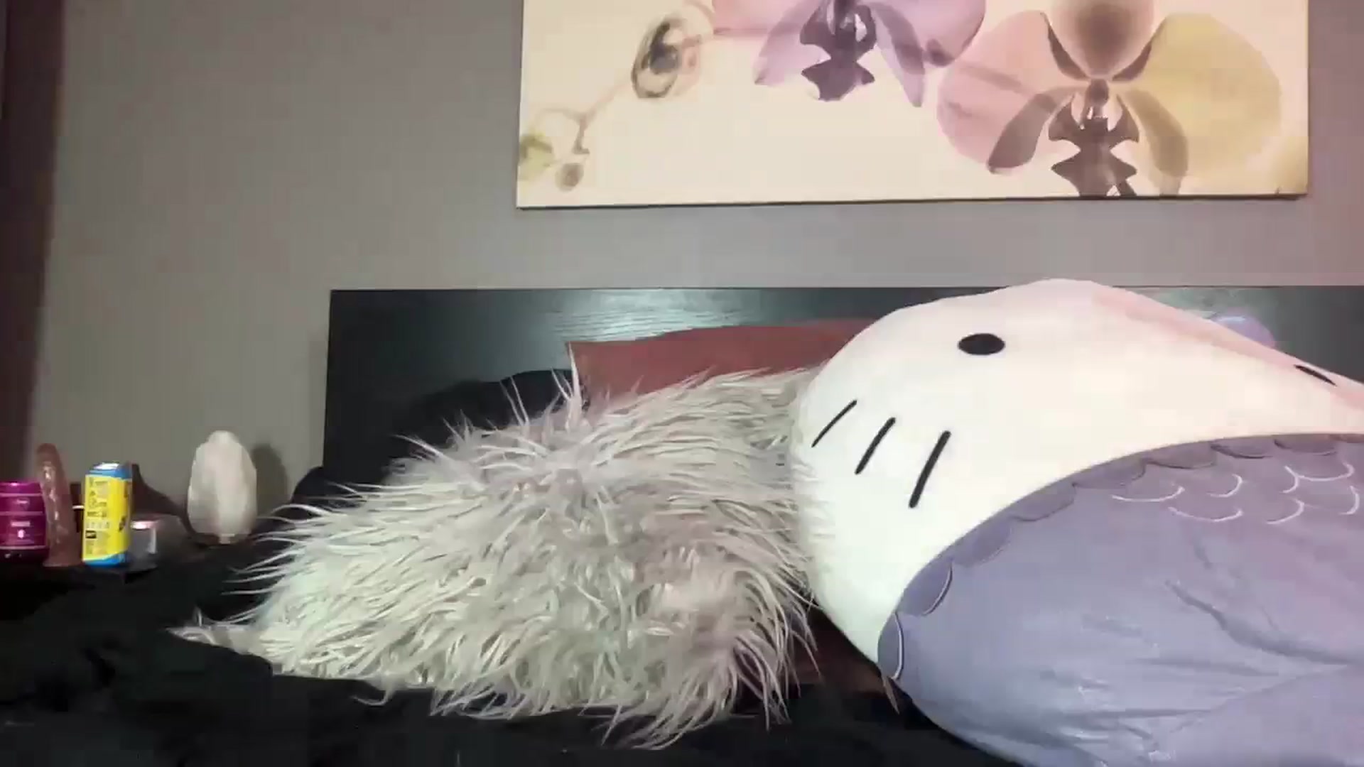 Gallery image thumbnail from SugaAngelBaby's myfreecams stream on, 11/06/2023, 18:00 image 12 of 20