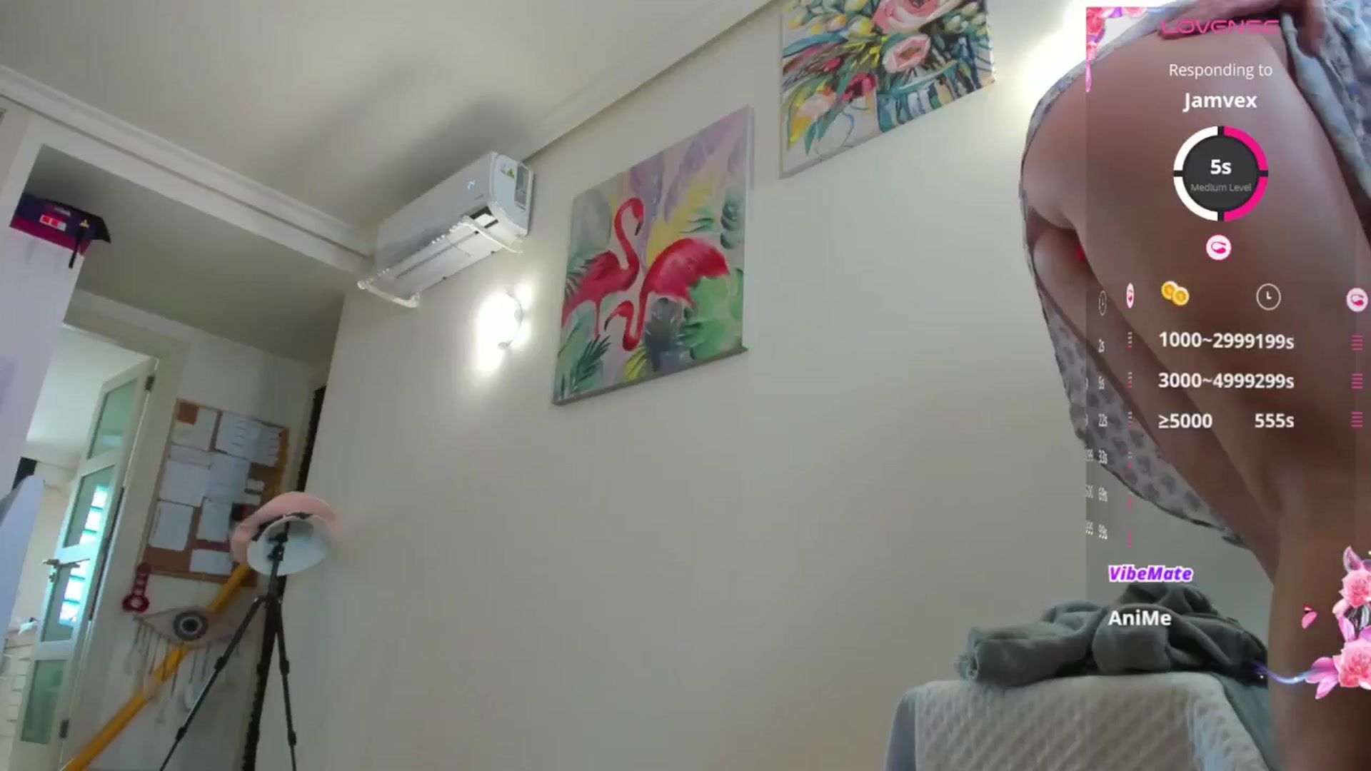 Gallery image thumbnail from SugarSpice22's myfreecams stream on, 01/24/2025, 15:49 image 9 of 20