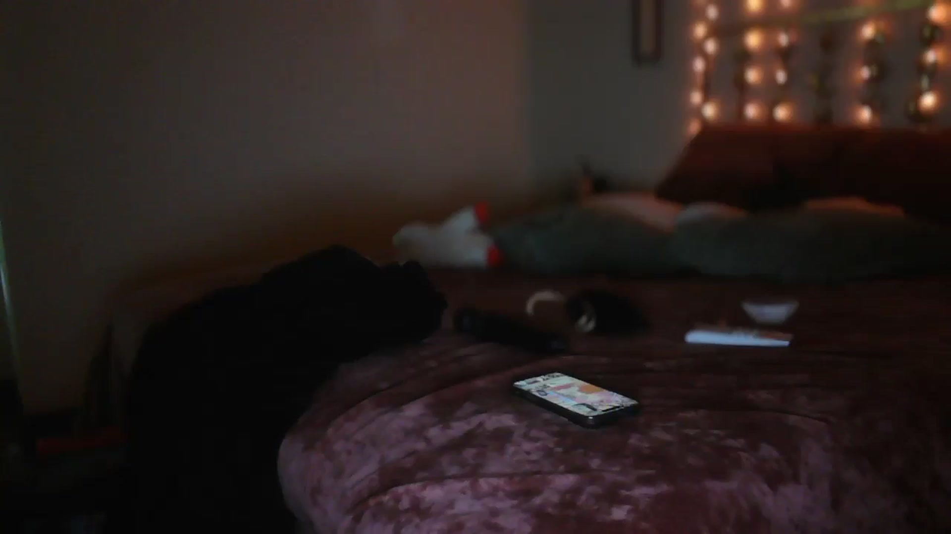Gallery image thumbnail from SugarTitz's myfreecams stream on, 07/21/2025, 01:16 image 20 of 20