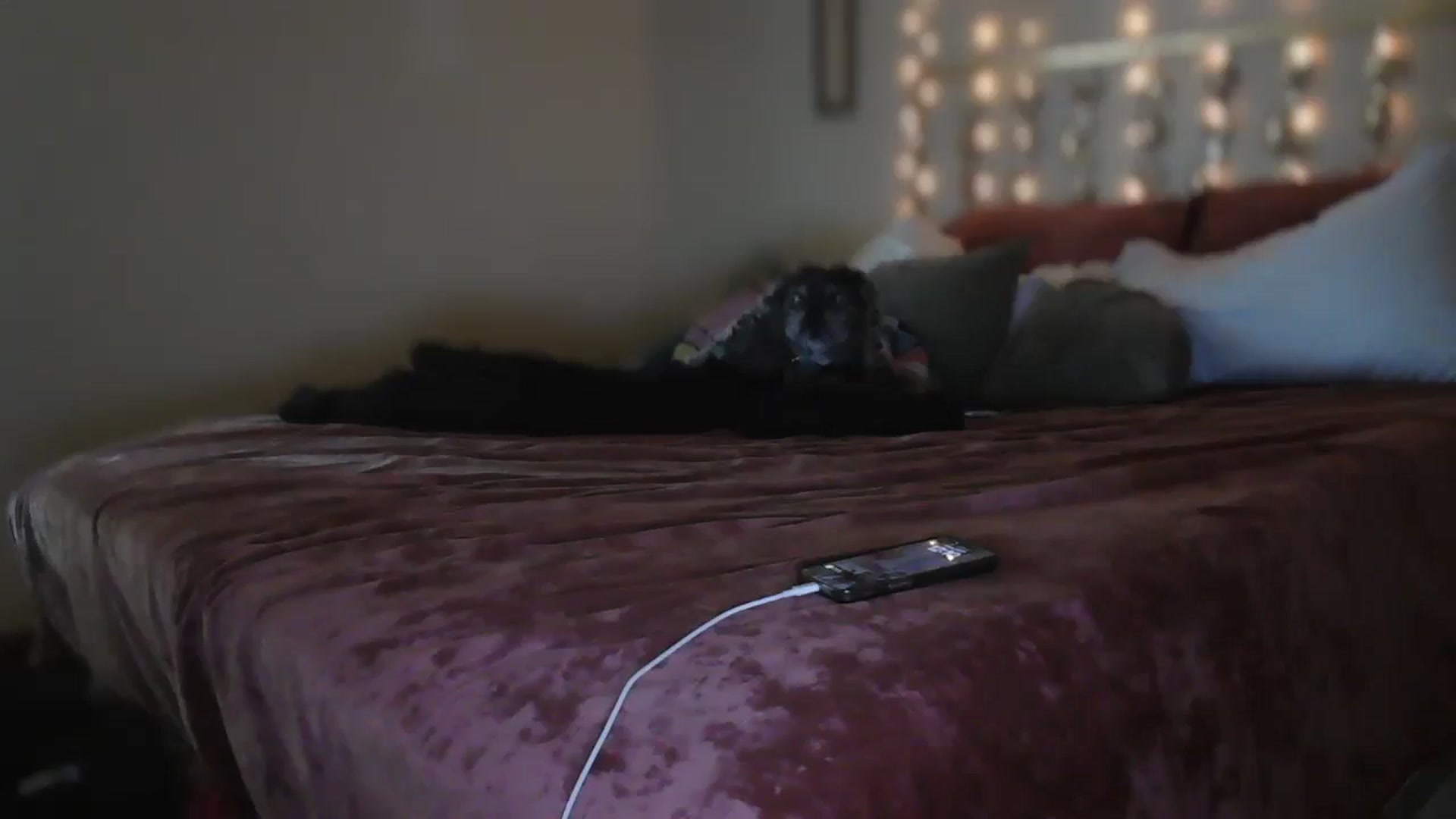 Gallery image thumbnail from SugarTitz's myfreecams stream on, 07/29/2025, 19:56 image 3 of 20