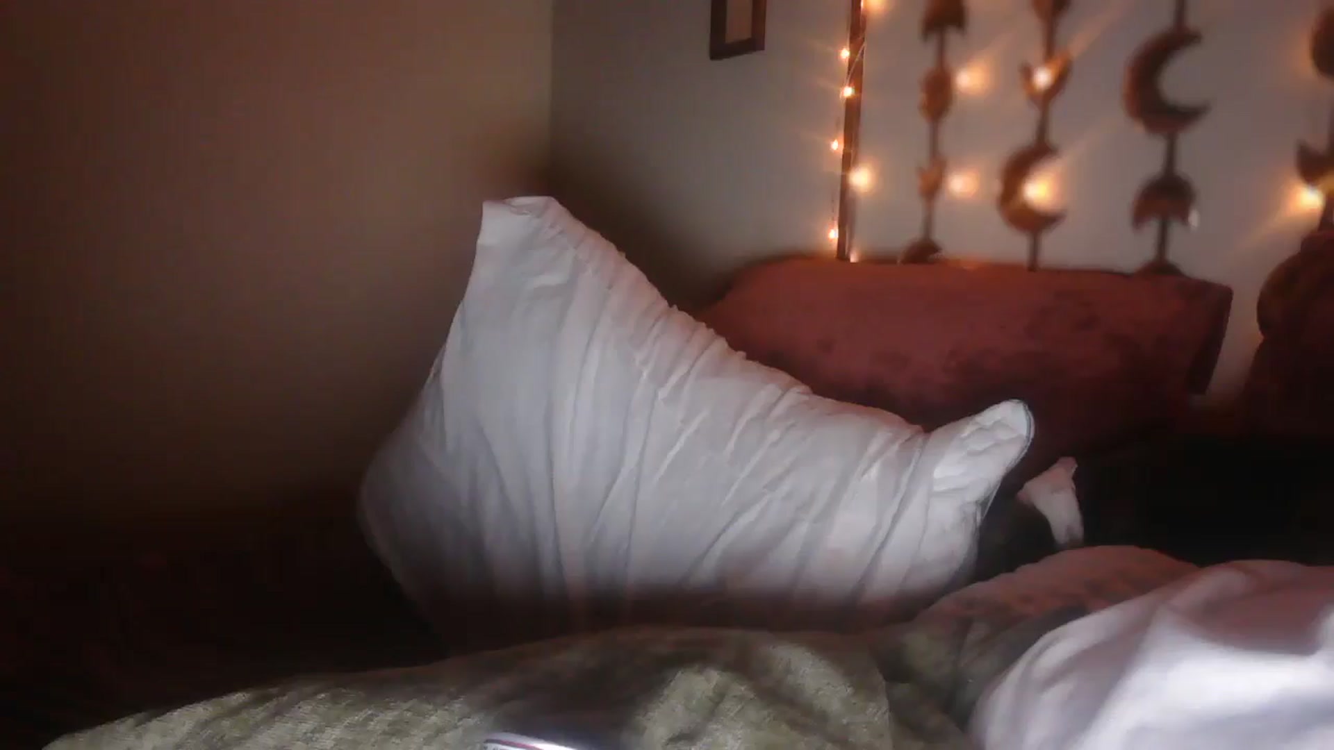 Gallery image thumbnail from SugarTitz's myfreecams stream on, 08/01/2025, 11:34 image 7 of 20