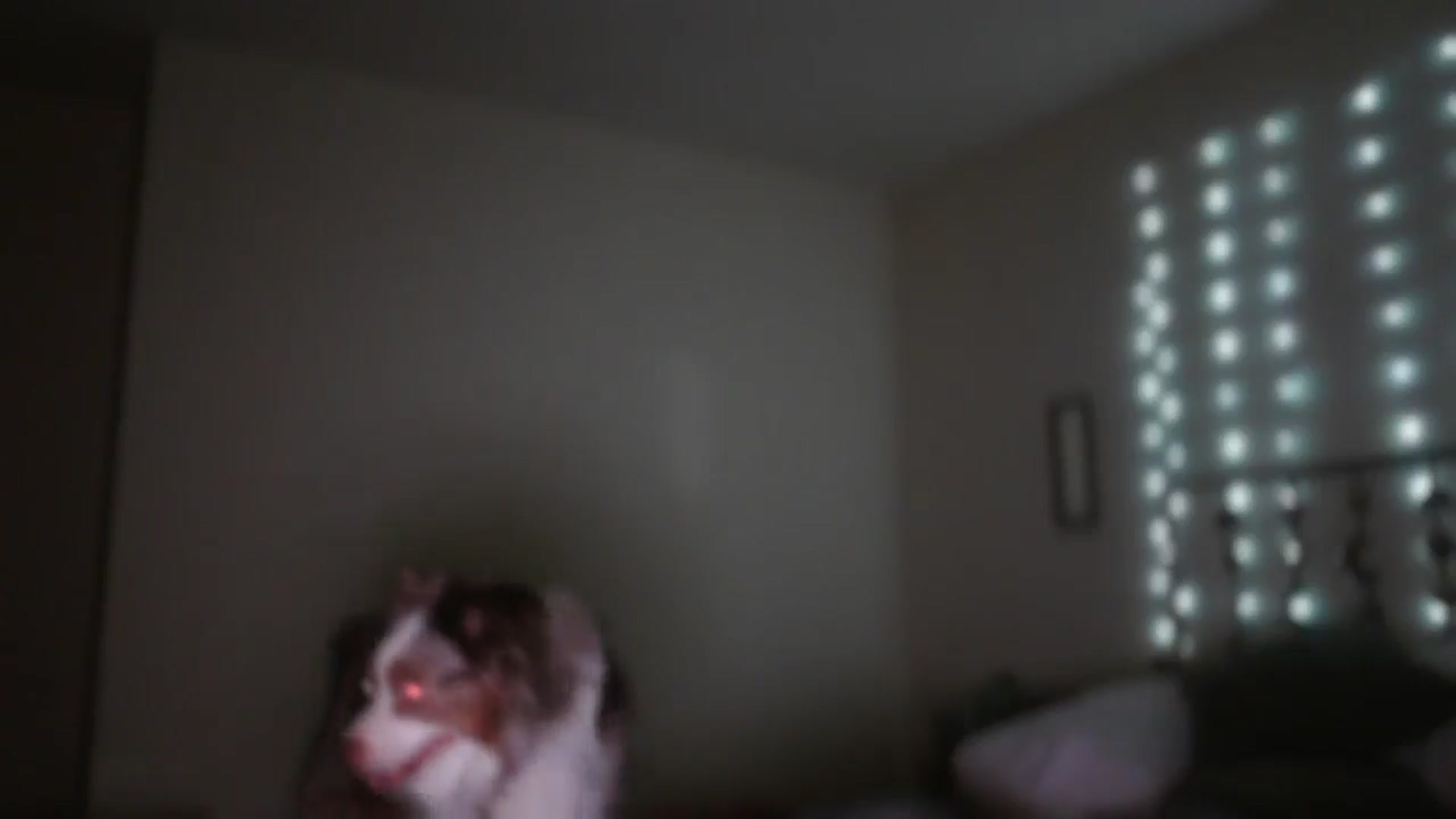 Gallery image thumbnail from SugarTitz's myfreecams stream on, 08/16/2025, 10:52 image 17 of 20