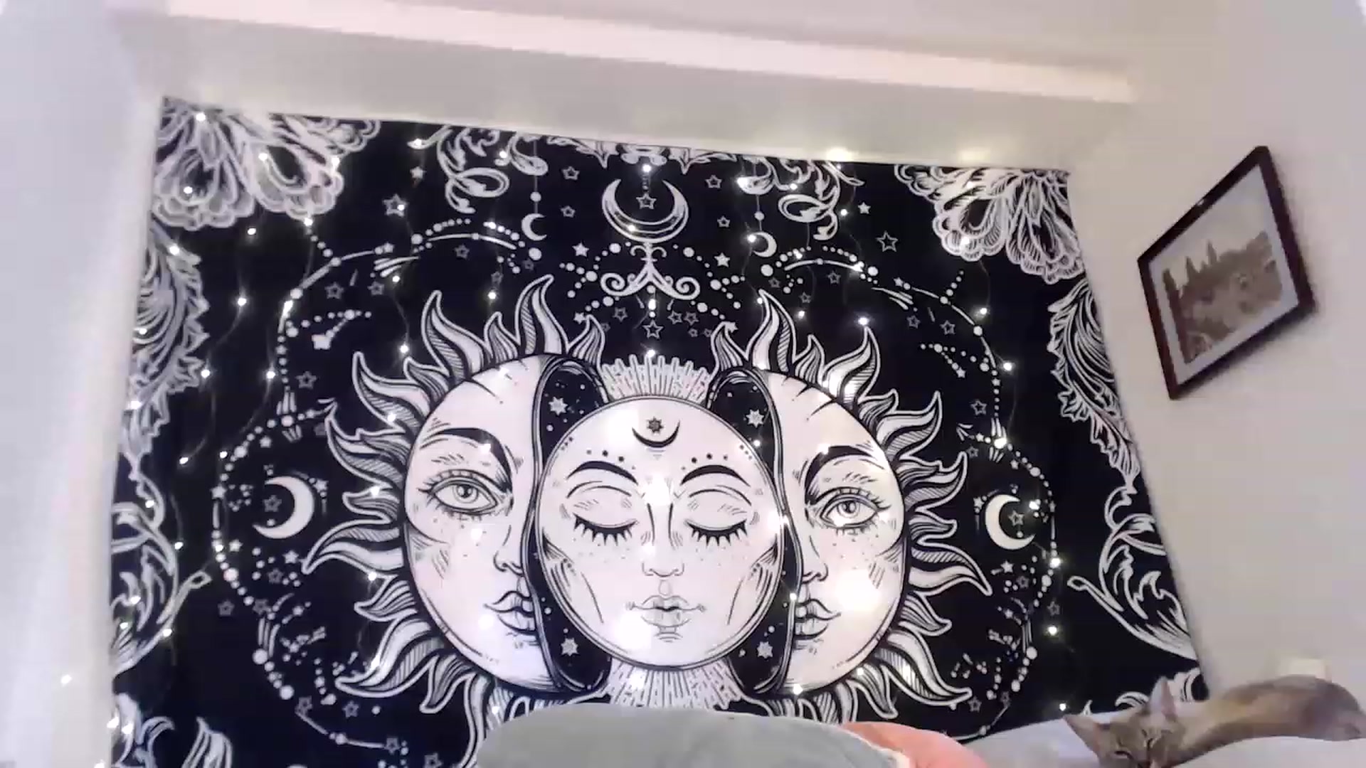 Gallery image thumbnail from Sugarcandyi's myfreecams stream on, 06/05/2023, 23:46 image 15 of 20