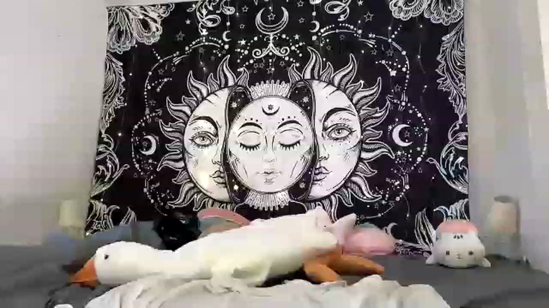 Gallery image thumbnail from Sugarcandyi's myfreecams stream on, 08/06/2023, 20:59 image 16 of 20