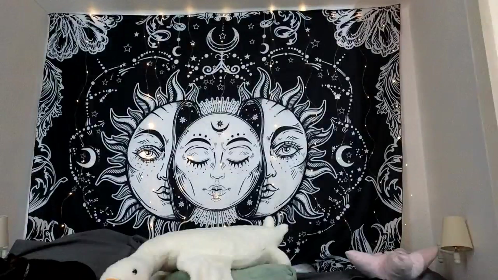 Gallery image thumbnail from Sugarcandyi's myfreecams stream on, 08/17/2023, 03:51 image 17 of 20