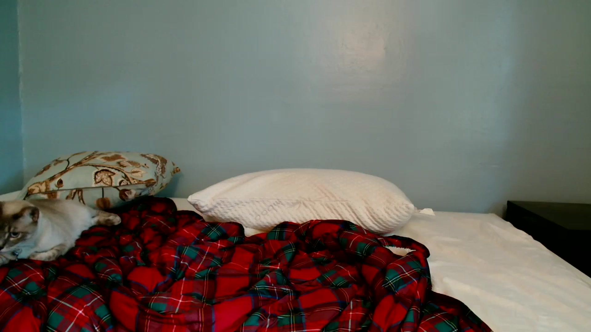 Gallery image thumbnail from Sugarcandyi's myfreecams stream on, 10/04/2023, 19:02 image 13 of 20