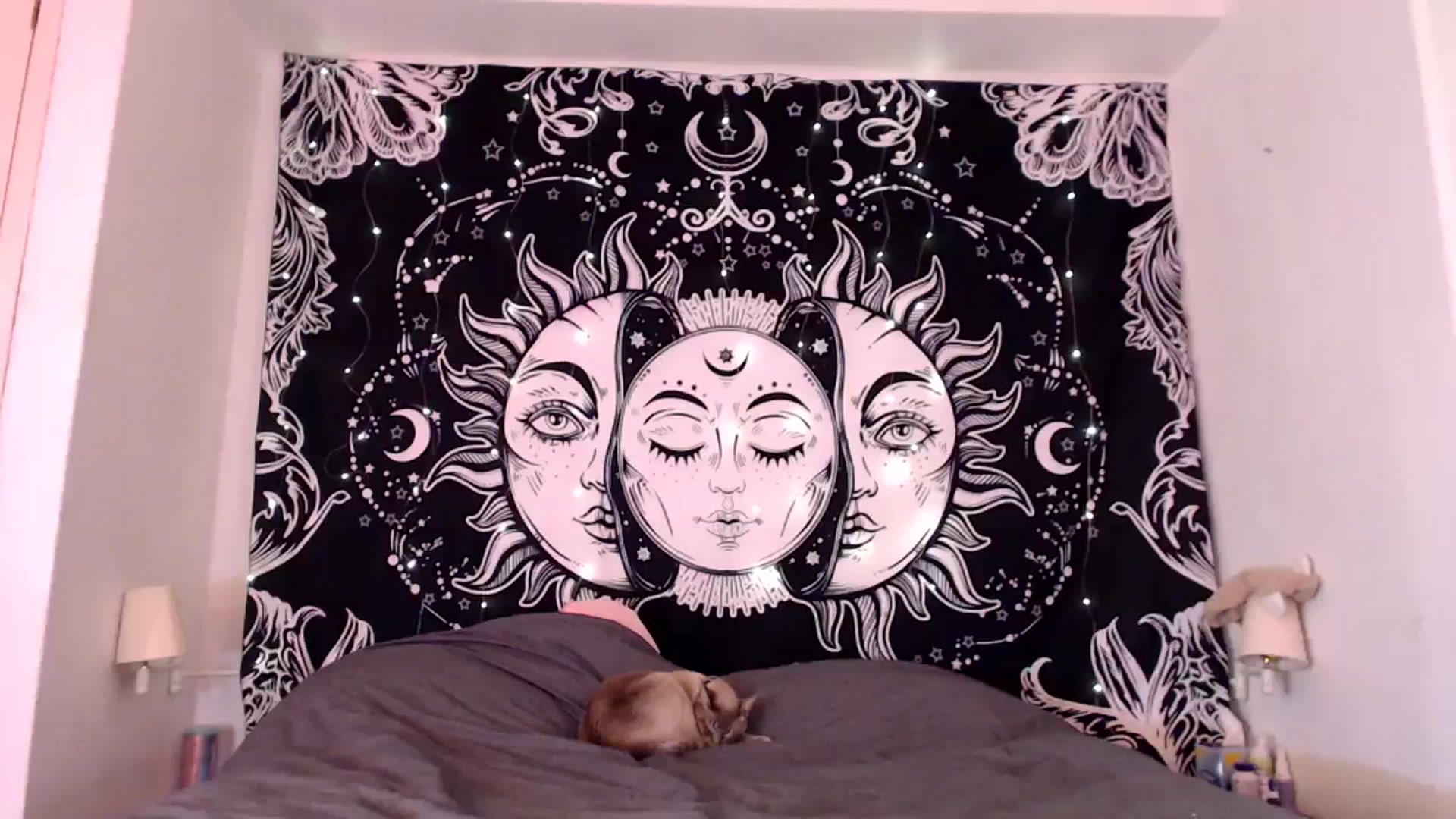 Gallery image thumbnail from Sugarcandyi's myfreecams stream on, 02/09/2024, 03:08 image 13 of 20