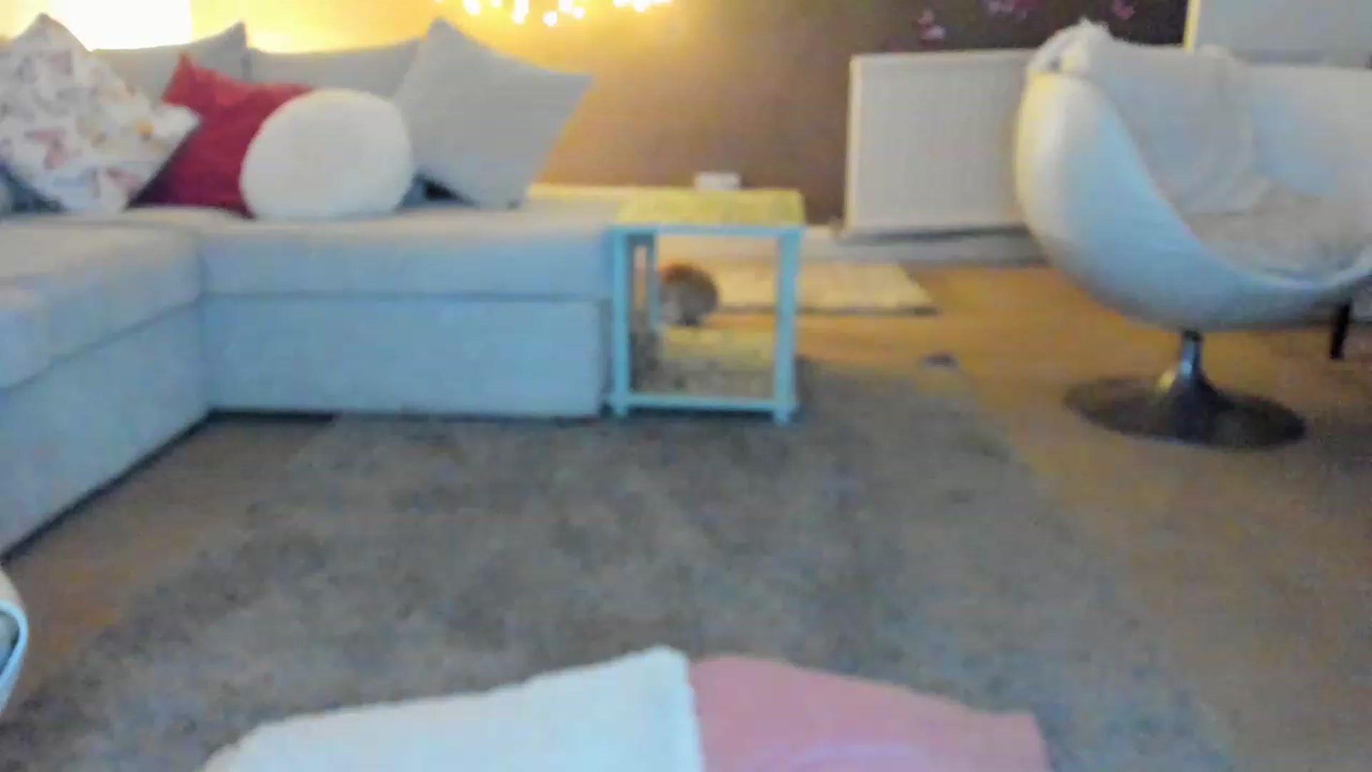 Gallery image thumbnail from SugarrrHolic's myfreecams stream on, 01/21/2023, 16:12 image 16 of 20