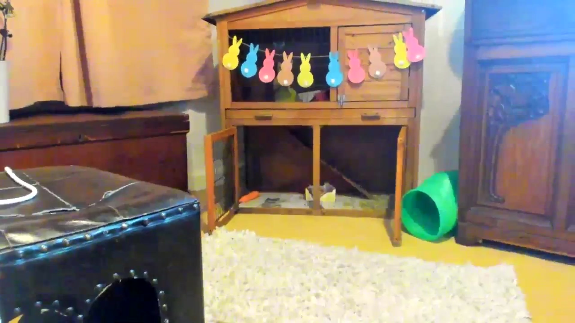 Gallery image thumbnail from SugarrrHolic's myfreecams stream on, 01/22/2024, 01:23 image 4 of 20