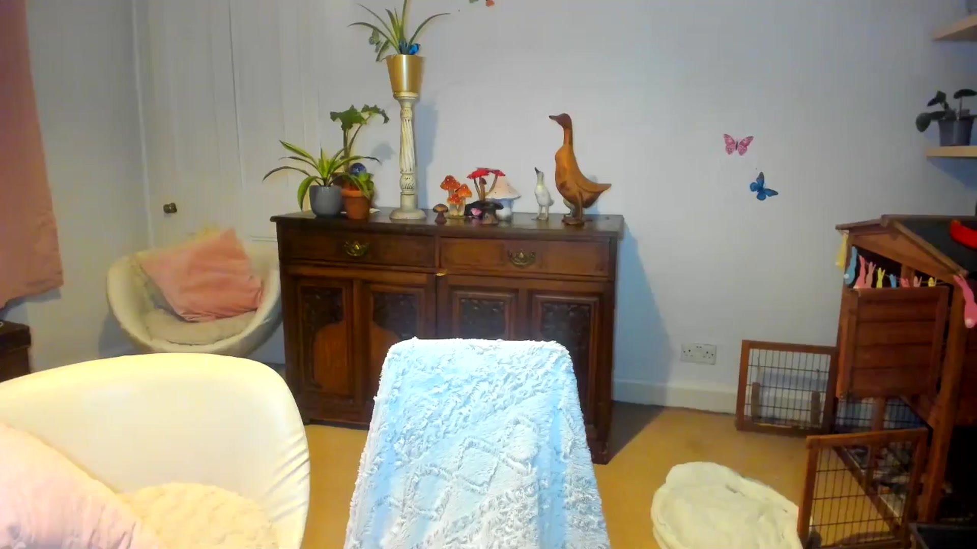 Gallery image thumbnail from SugarrrHolic's myfreecams stream on, 06/05/2024, 24:55 image 12 of 20