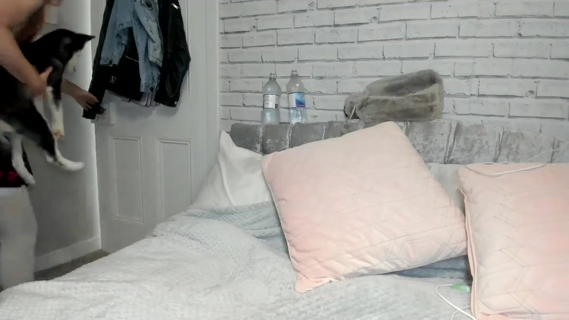 Gallery image thumbnail from SugarrrHolic's myfreecams stream on, 08/18/2024, 13:26 image 6 of 20