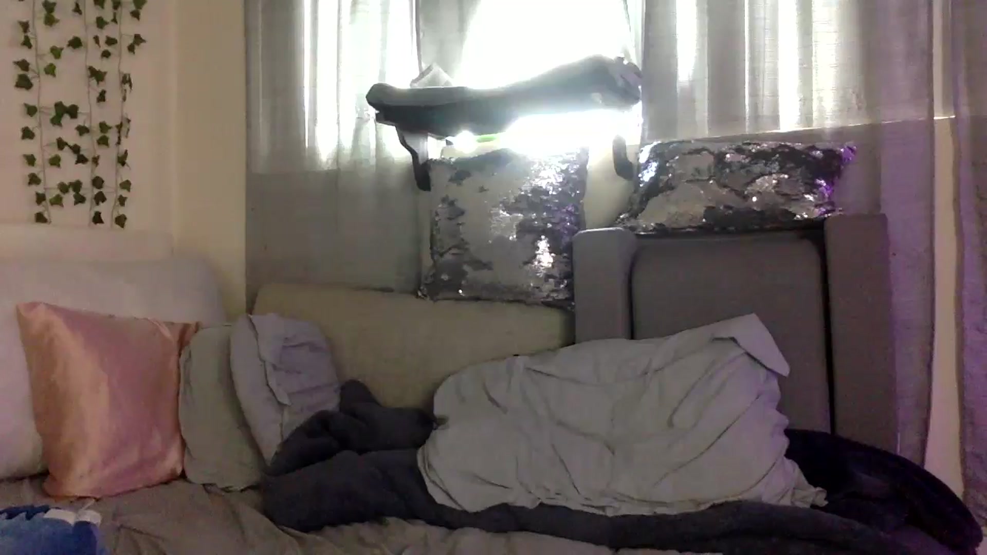 Gallery image thumbnail from Sugarxoxoxo's myfreecams stream on, 01/01/2026, 20:07 image 7 of 20