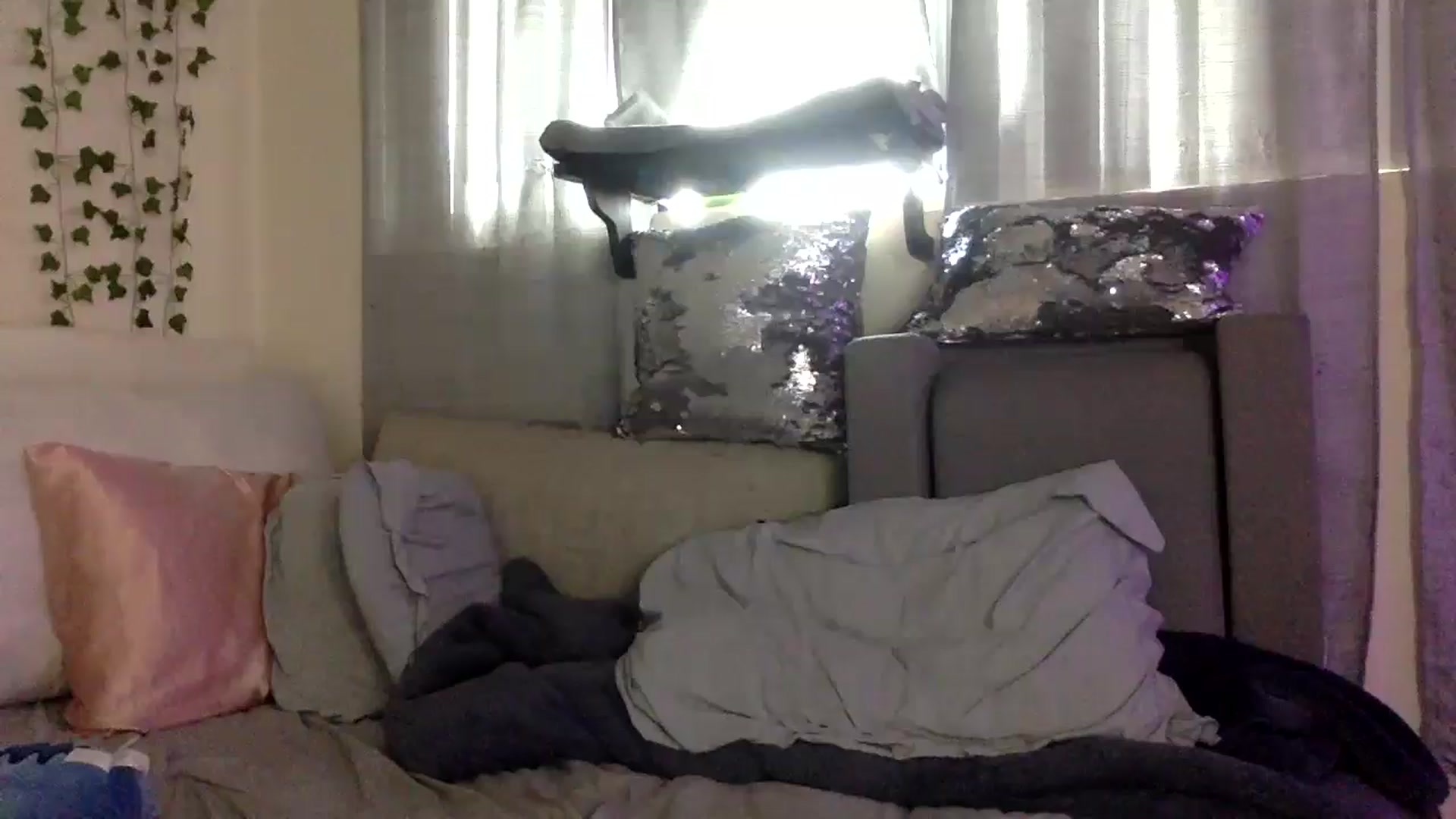 Gallery image thumbnail from Sugarxoxoxo's myfreecams stream on, 01/01/2026, 20:07 image 6 of 20