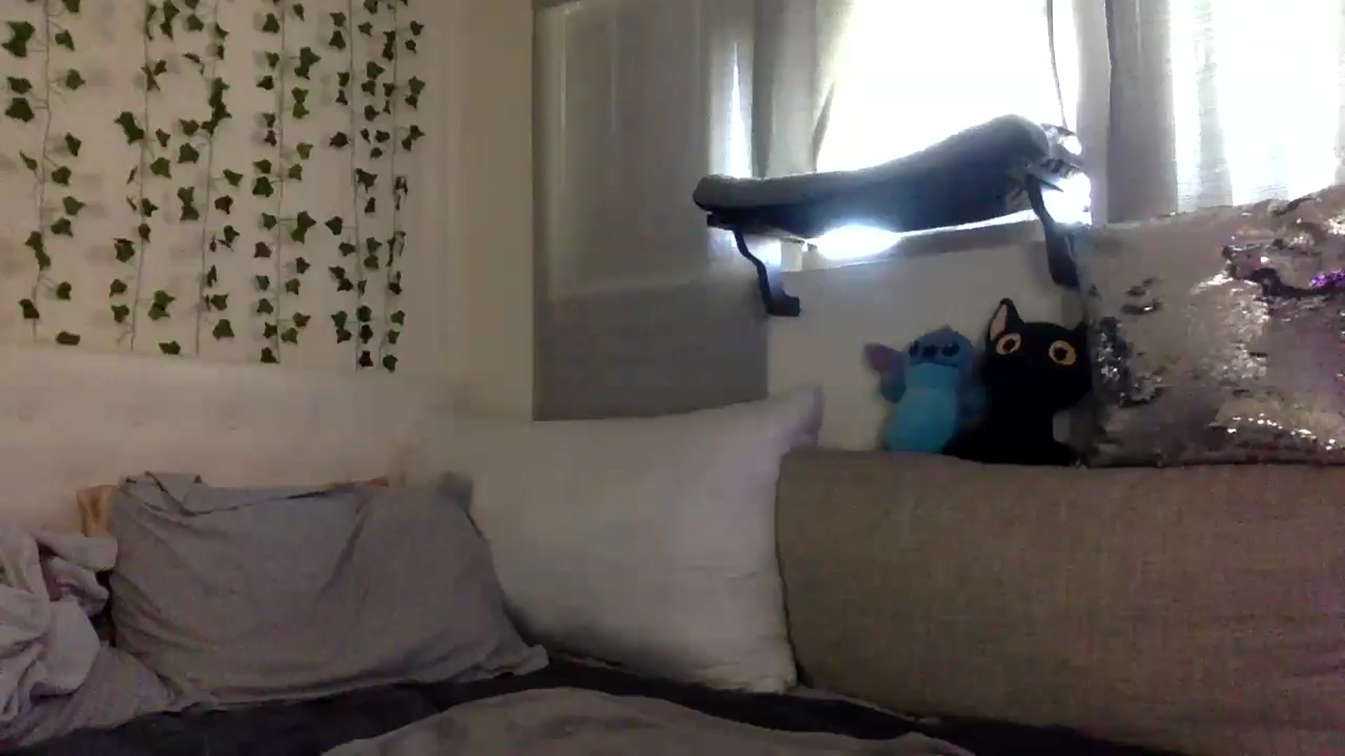 Gallery image thumbnail from Sugarxoxoxo's myfreecams stream on, 02/24/2026, 20:21 image 12 of 20