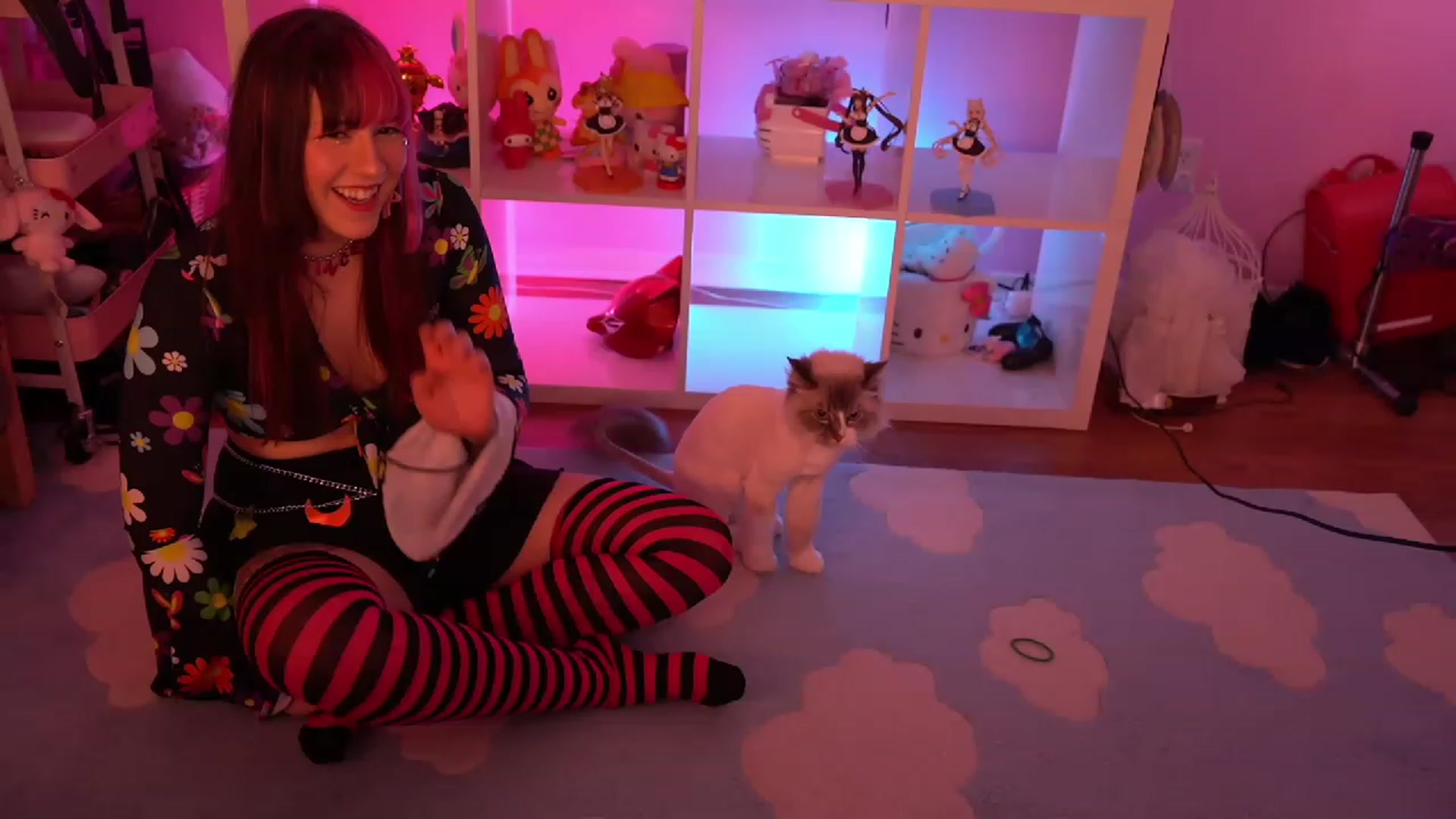Gallery image thumbnail from SugaryBunny's myfreecams stream on, 03/19/2023, 02:53 image 7 of 20