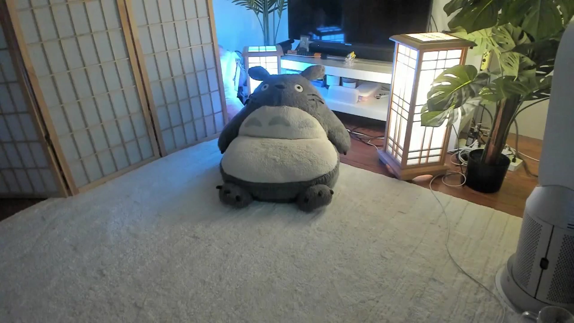 Gallery image thumbnail from SugaryBunny's myfreecams stream on, 07/16/2025, 02:14 image 17 of 20