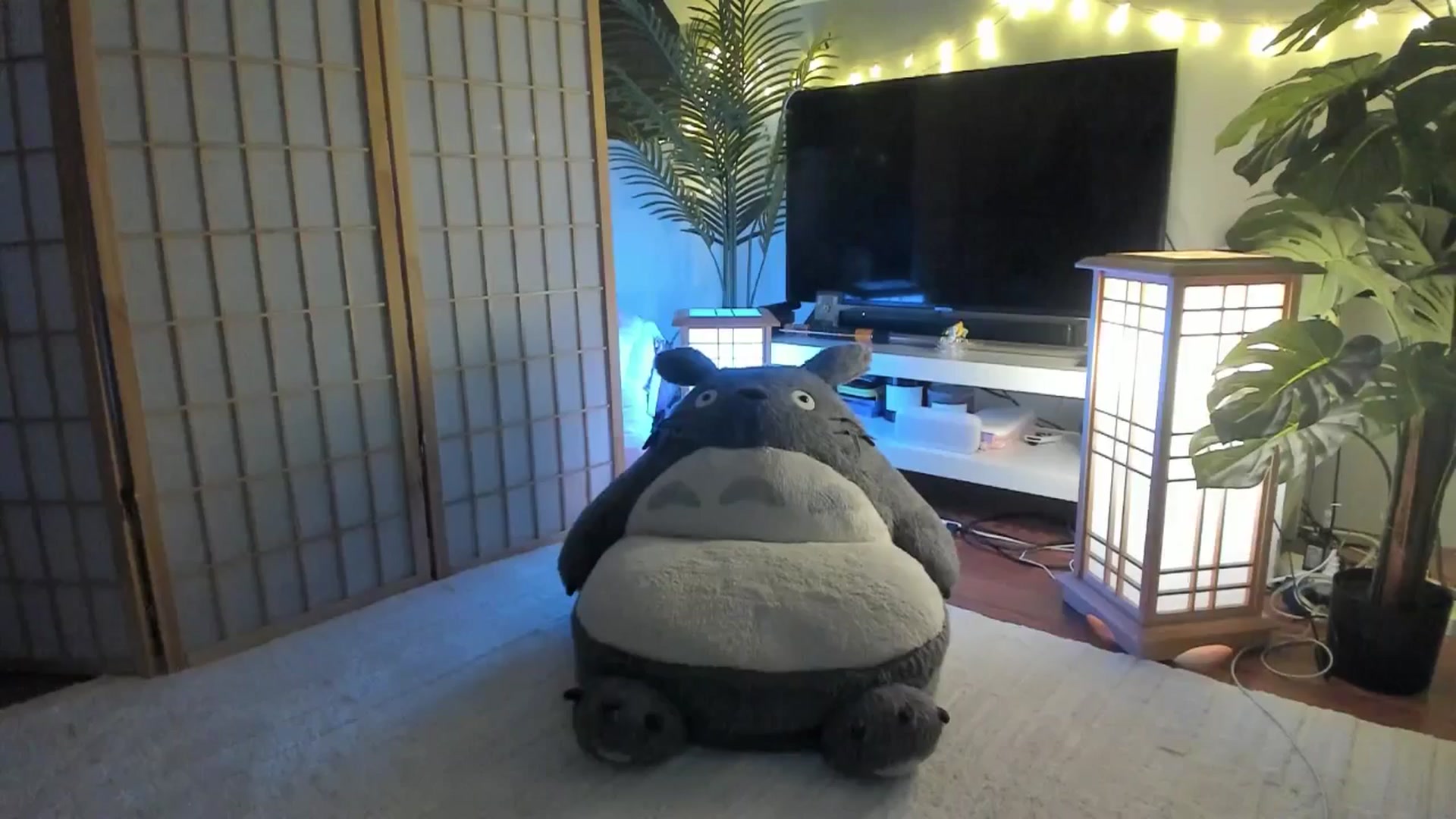 Gallery image thumbnail from SugaryBunny's myfreecams stream on, 07/16/2025, 02:34 image 1 of 20